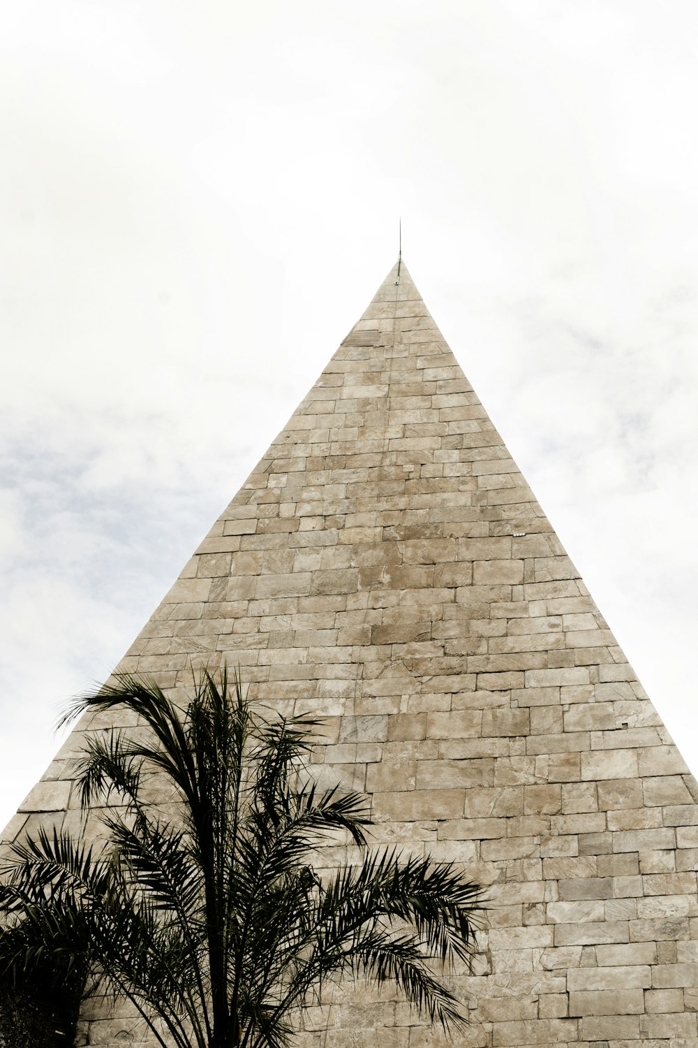 Un palmier devant une pyramide