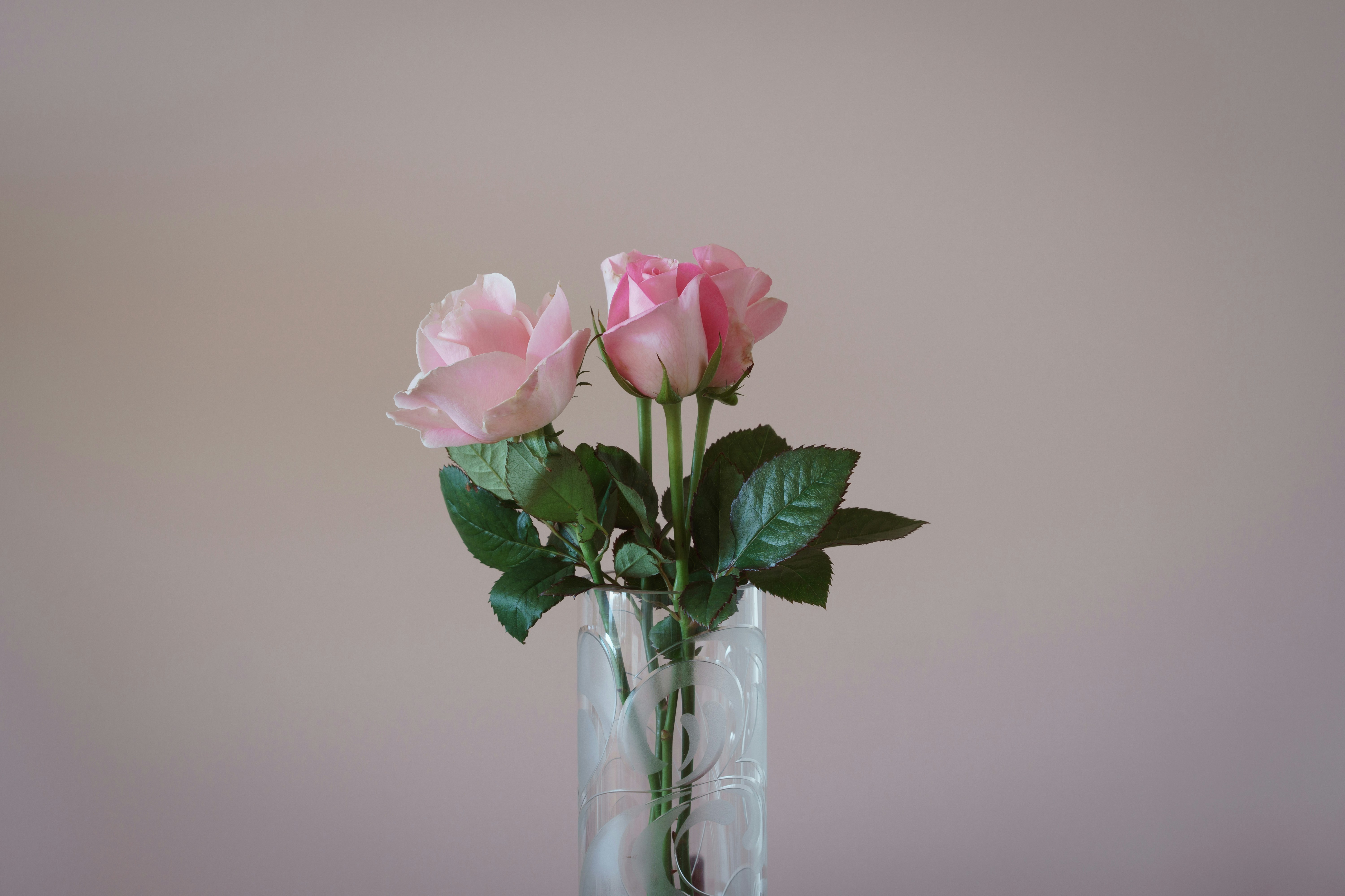 Photo by earl_plannerzone