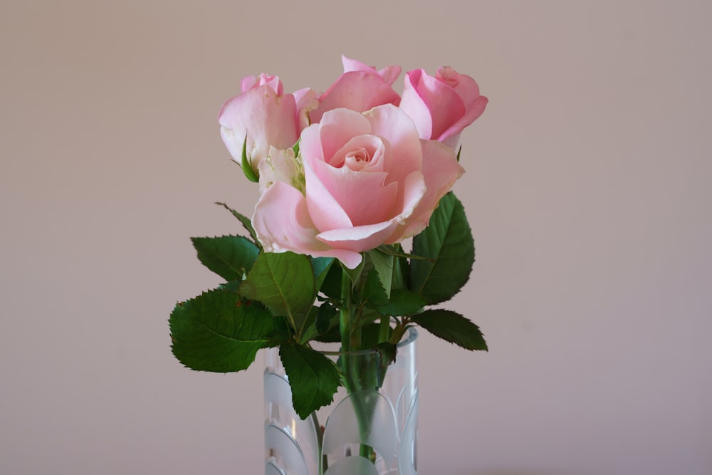 a vase filled with pink roses on top of a table