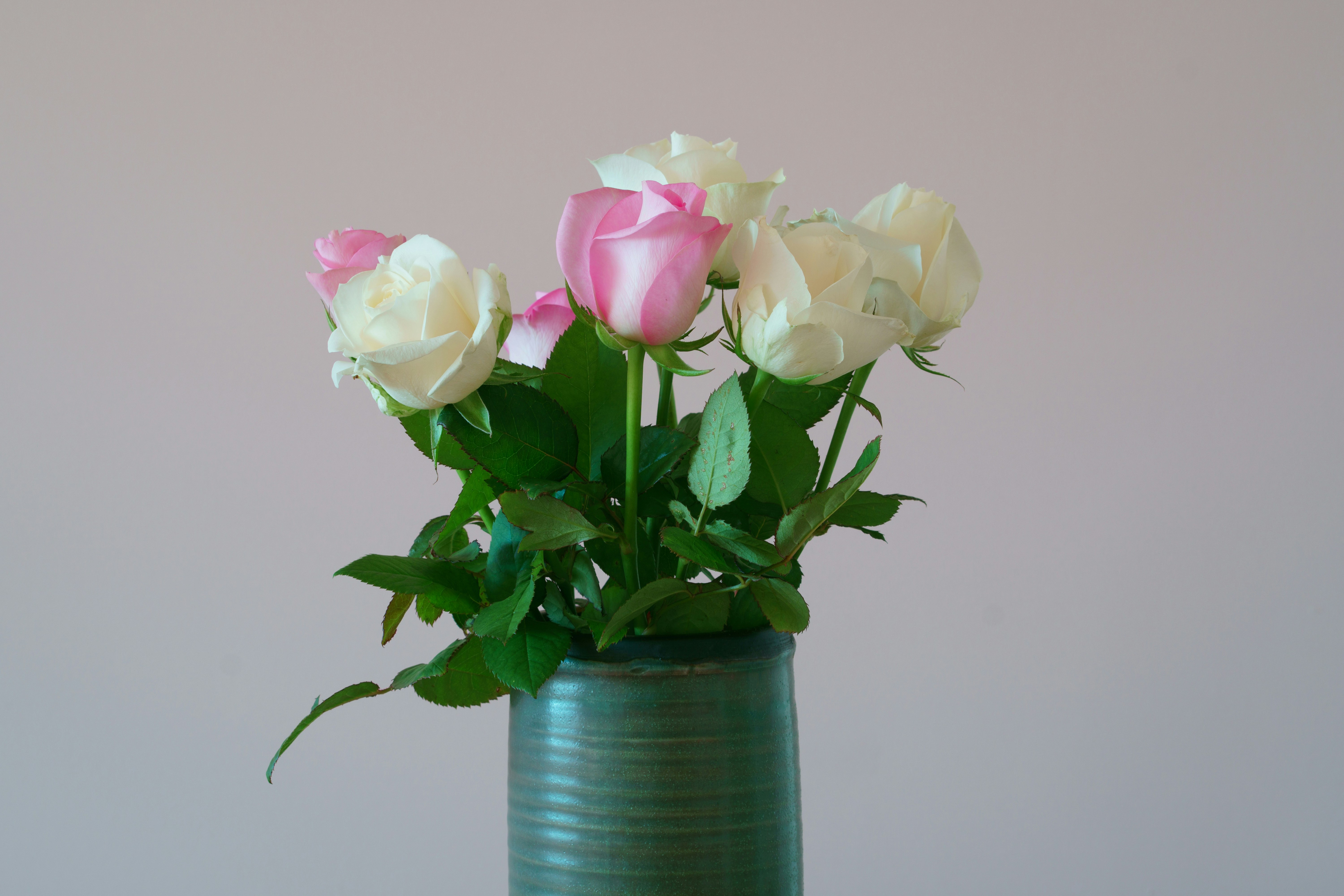 Photo by earl_plannerzone