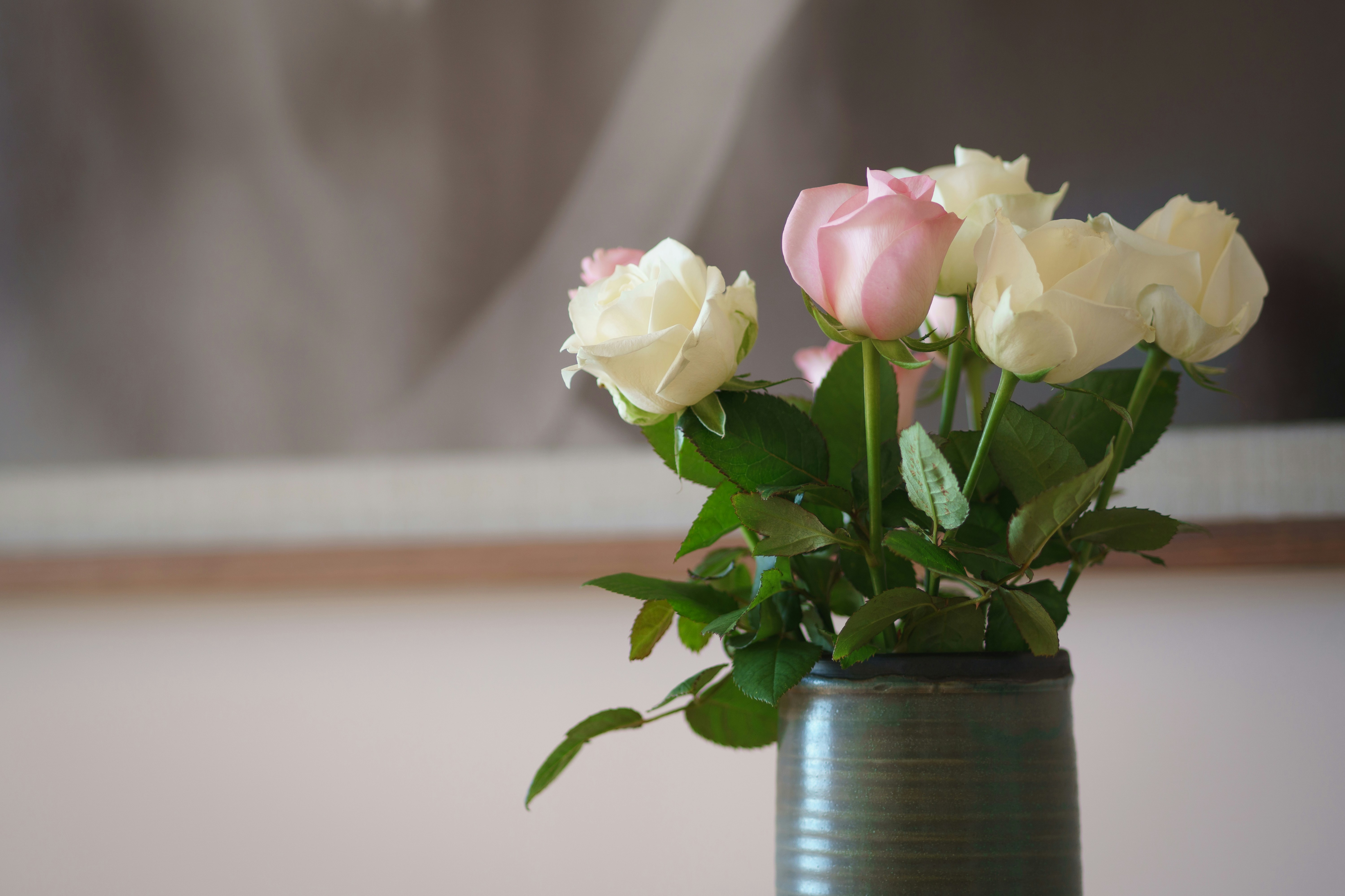 Photo by earl_plannerzone