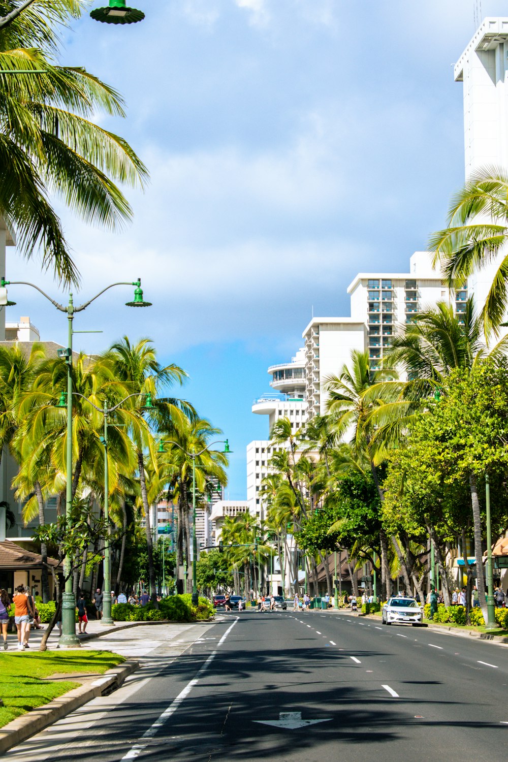 Une rue bordée de palmiers et de grands immeubles