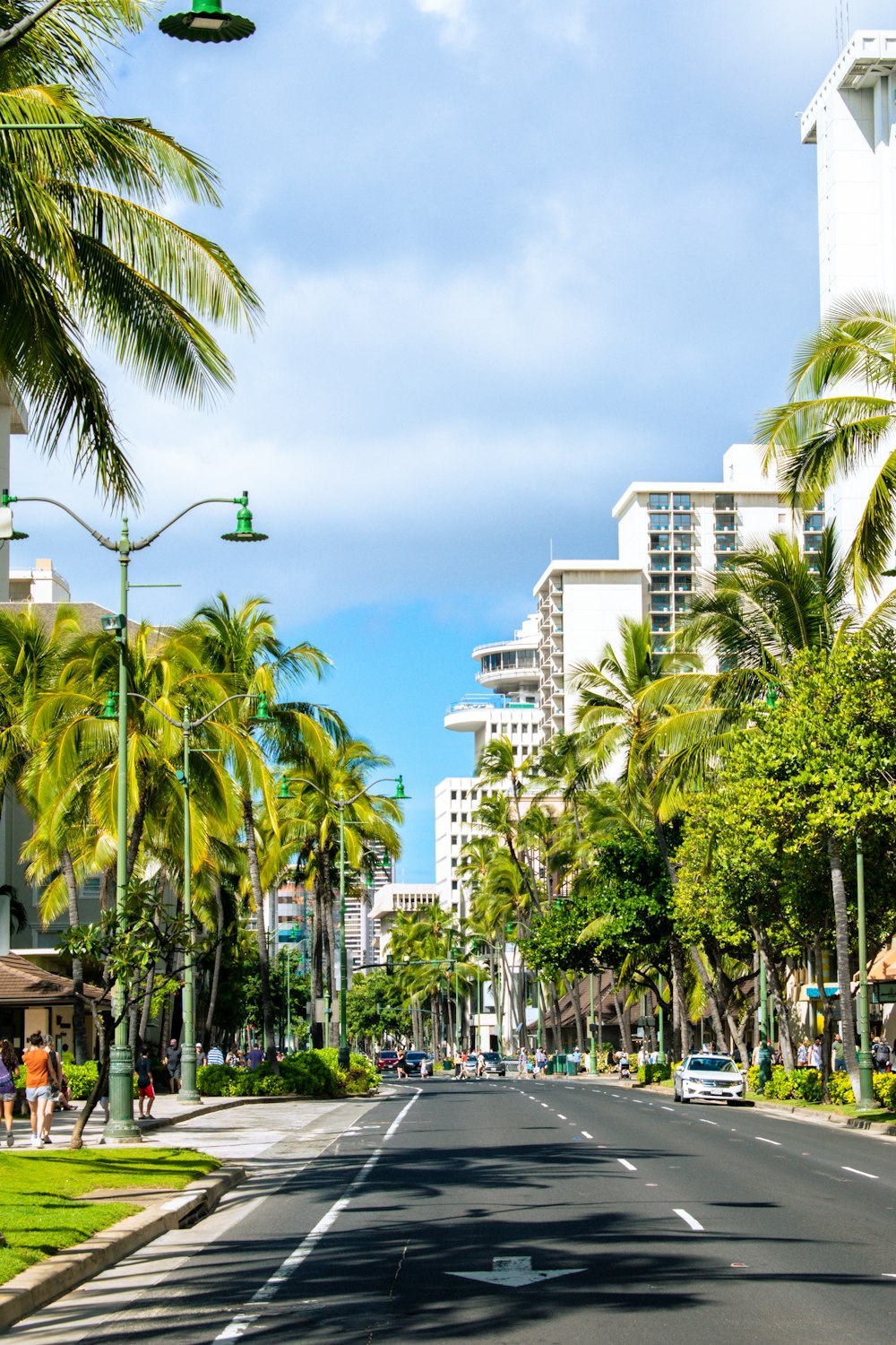 a street lined with palm trees and tall buildings