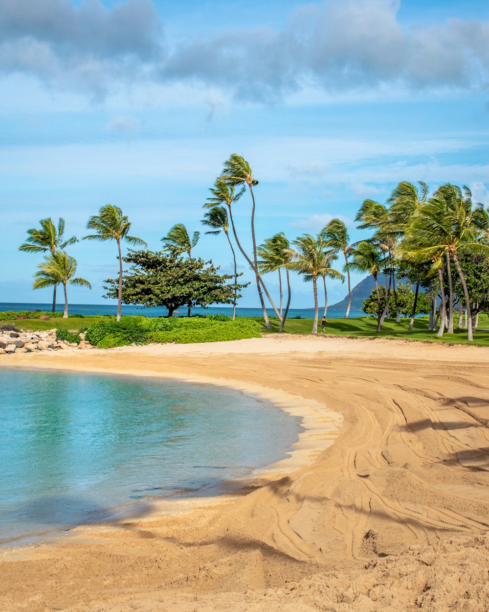 a sandy beach surrounded by palm trees and blue water