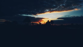 Photo 1641860332311 C7ba6be34c06?q=85&w=275&h=400&fit=crop