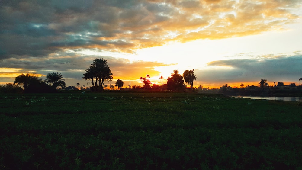 the sun is setting over a grassy field