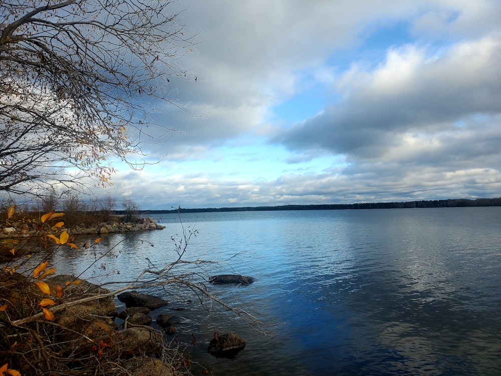 a body of water surrounded by trees and rocks