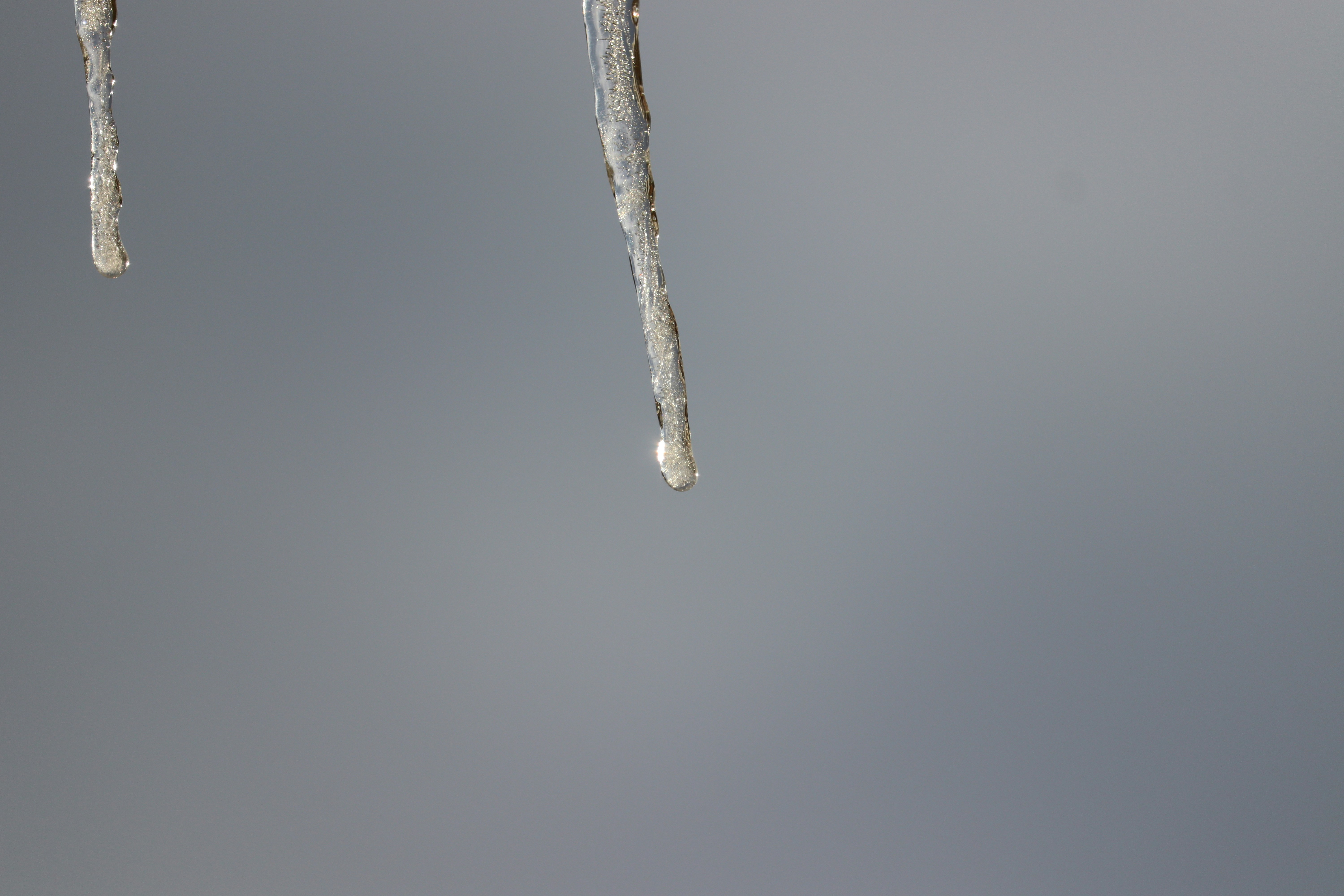 Photo by vikramdesh1