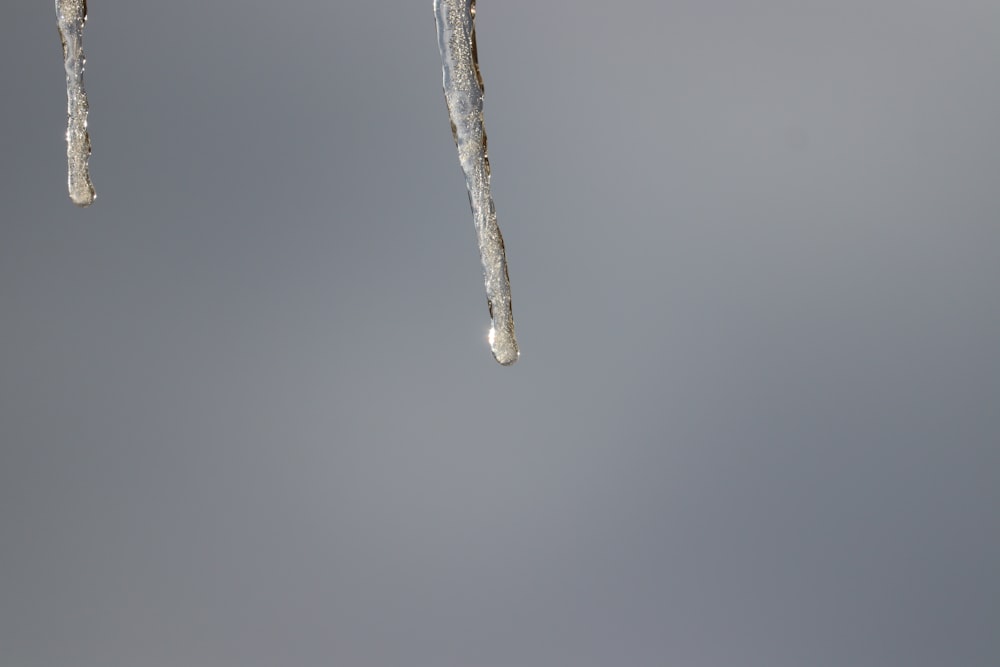 a couple of icicles hanging from the side of a building