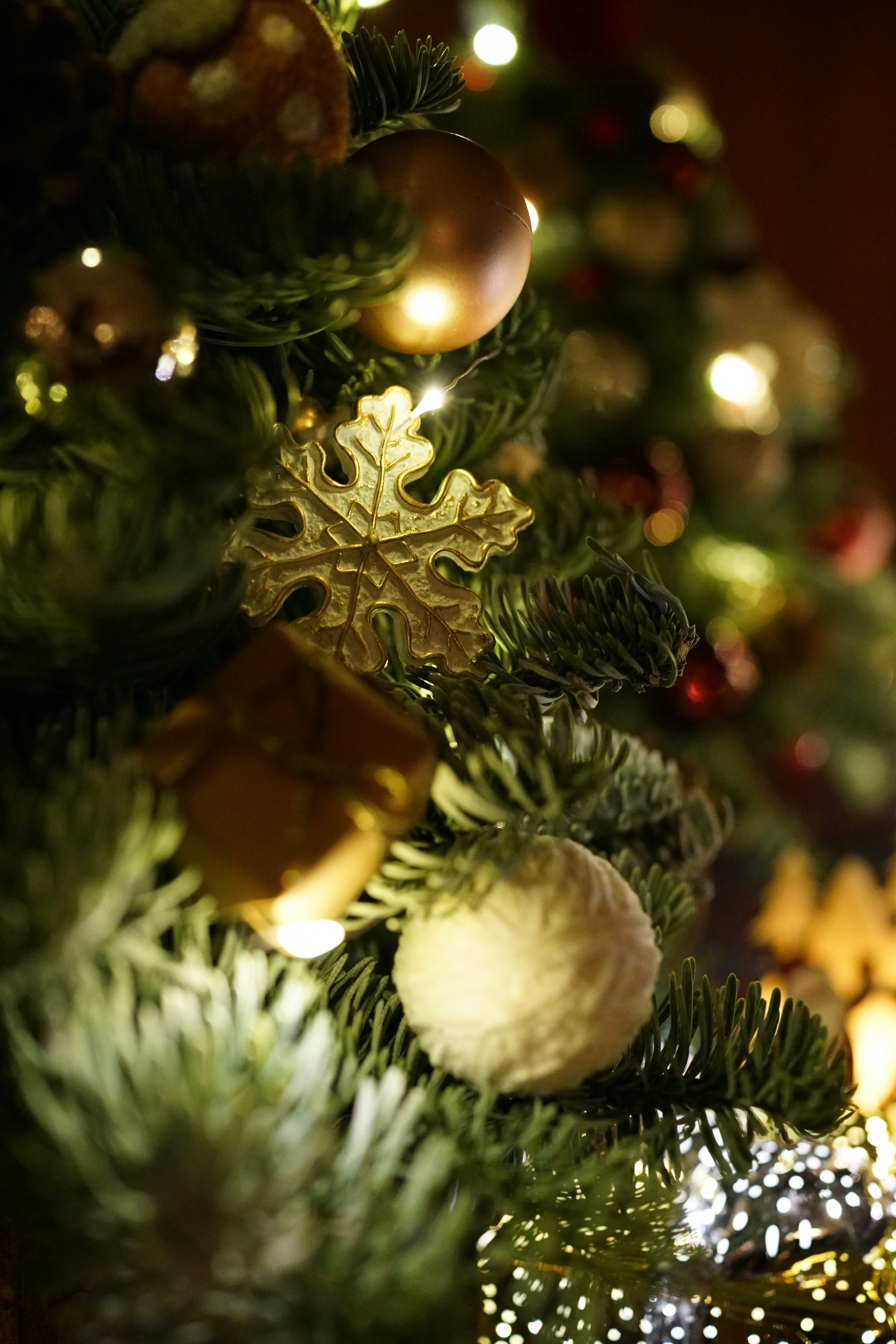 Photo by coincidence