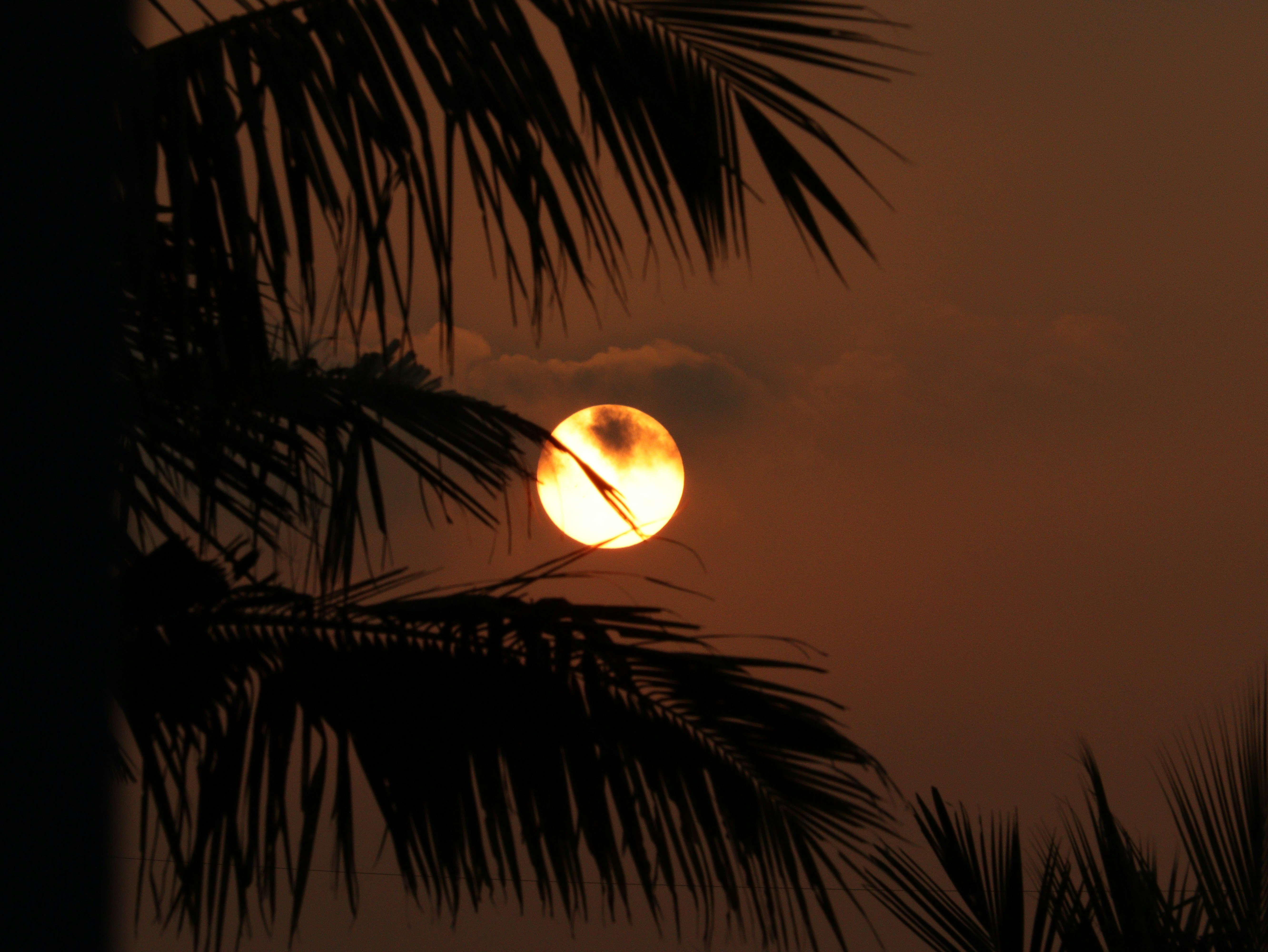Photo by mariyan_rajesh