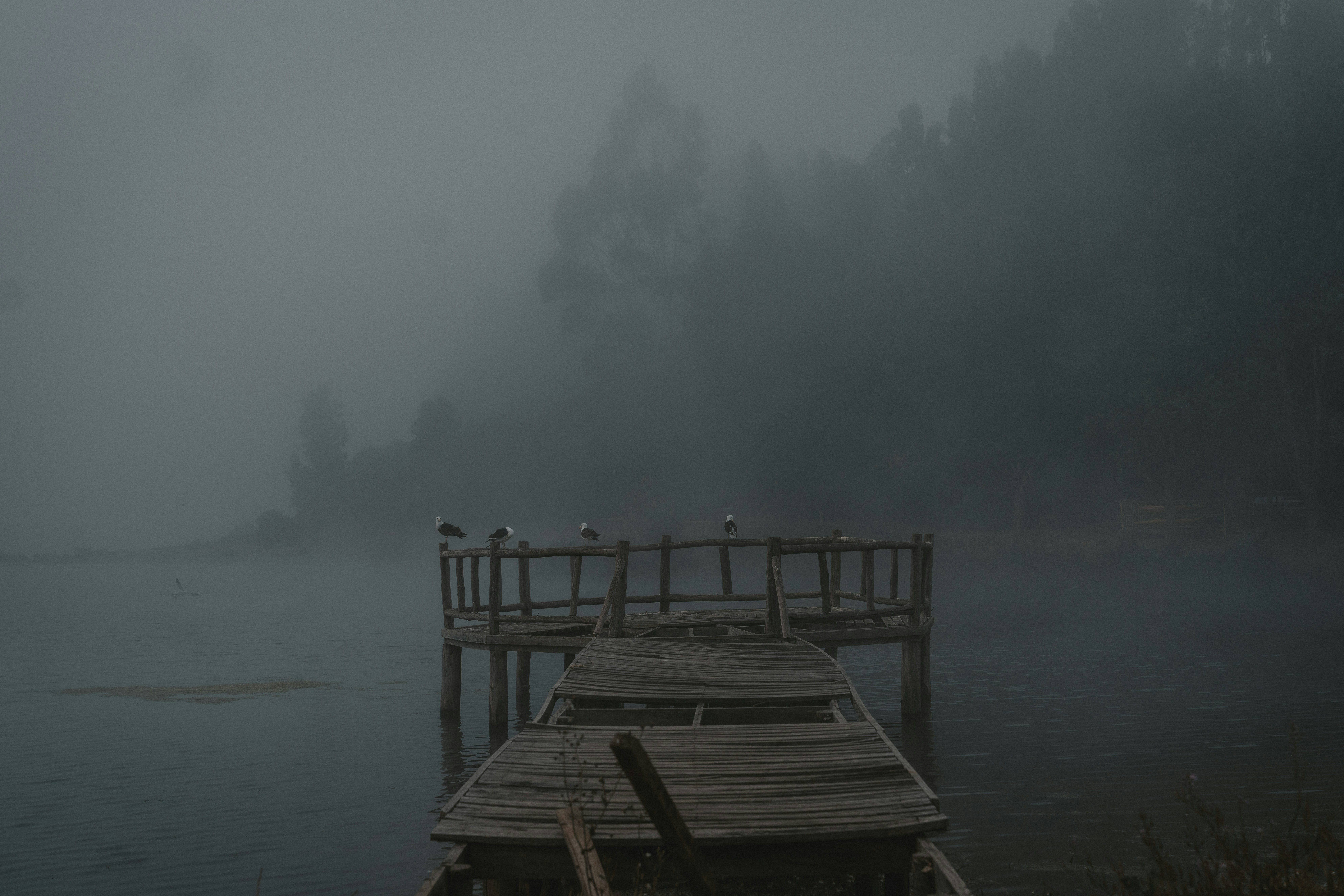 a dock in the middle of a lake on a foggy day, 