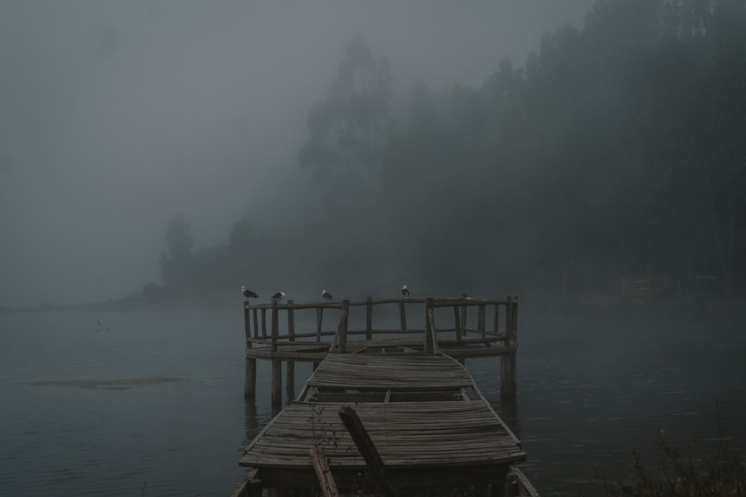 a dock in the middle of a lake on a foggy day,