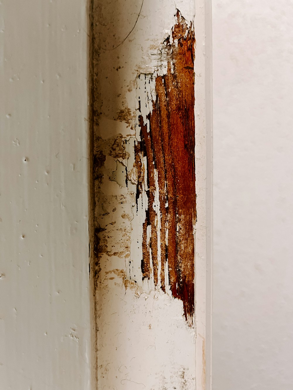 a rusted corner of a wall with white paint