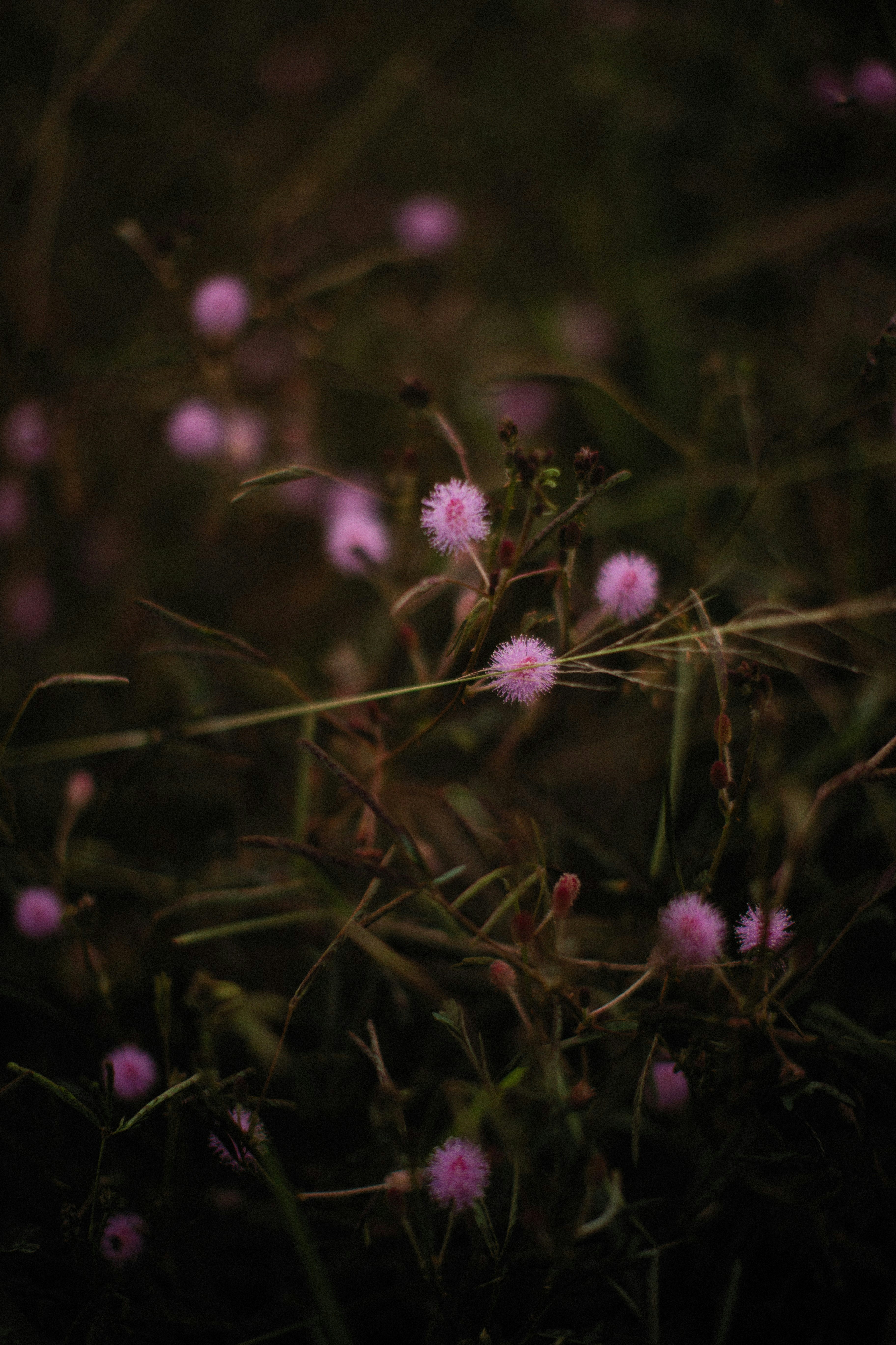 Photo by alexeydemidov