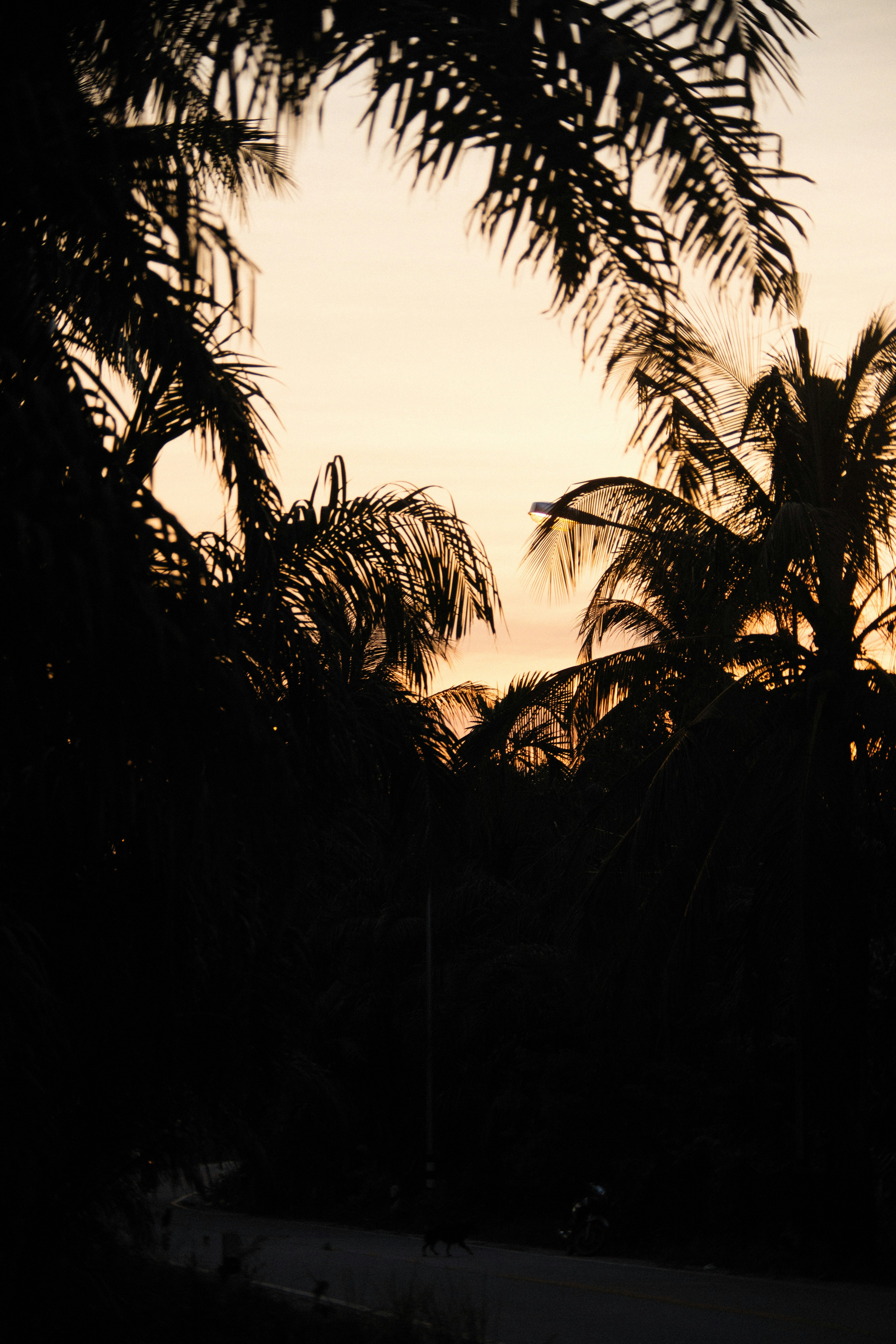 Photo by alexeydemidov