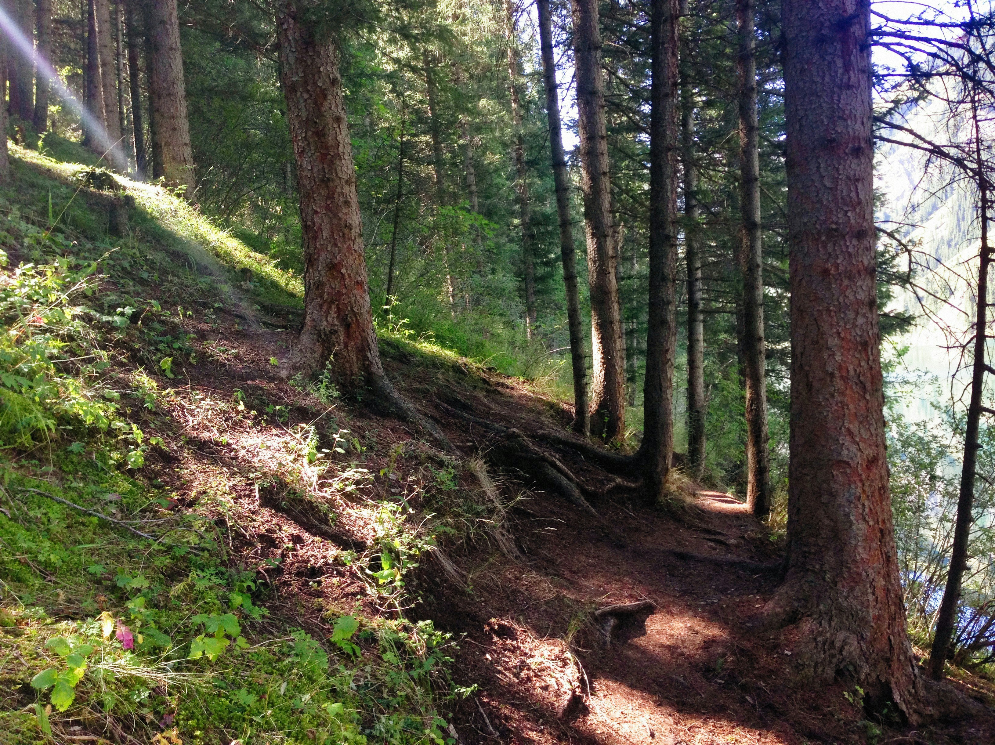 Photo by alexeydemidov