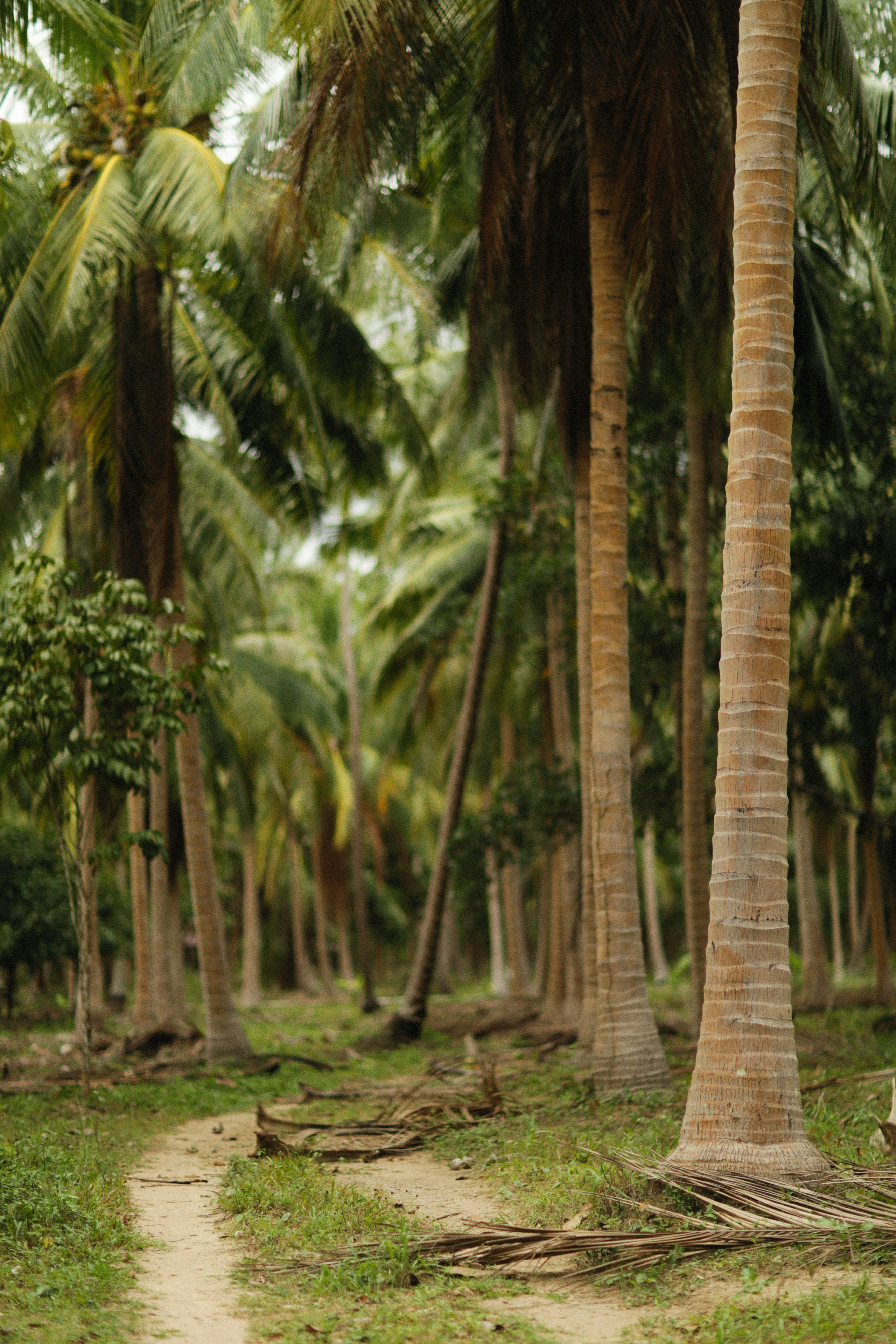 Photo by alexeydemidov