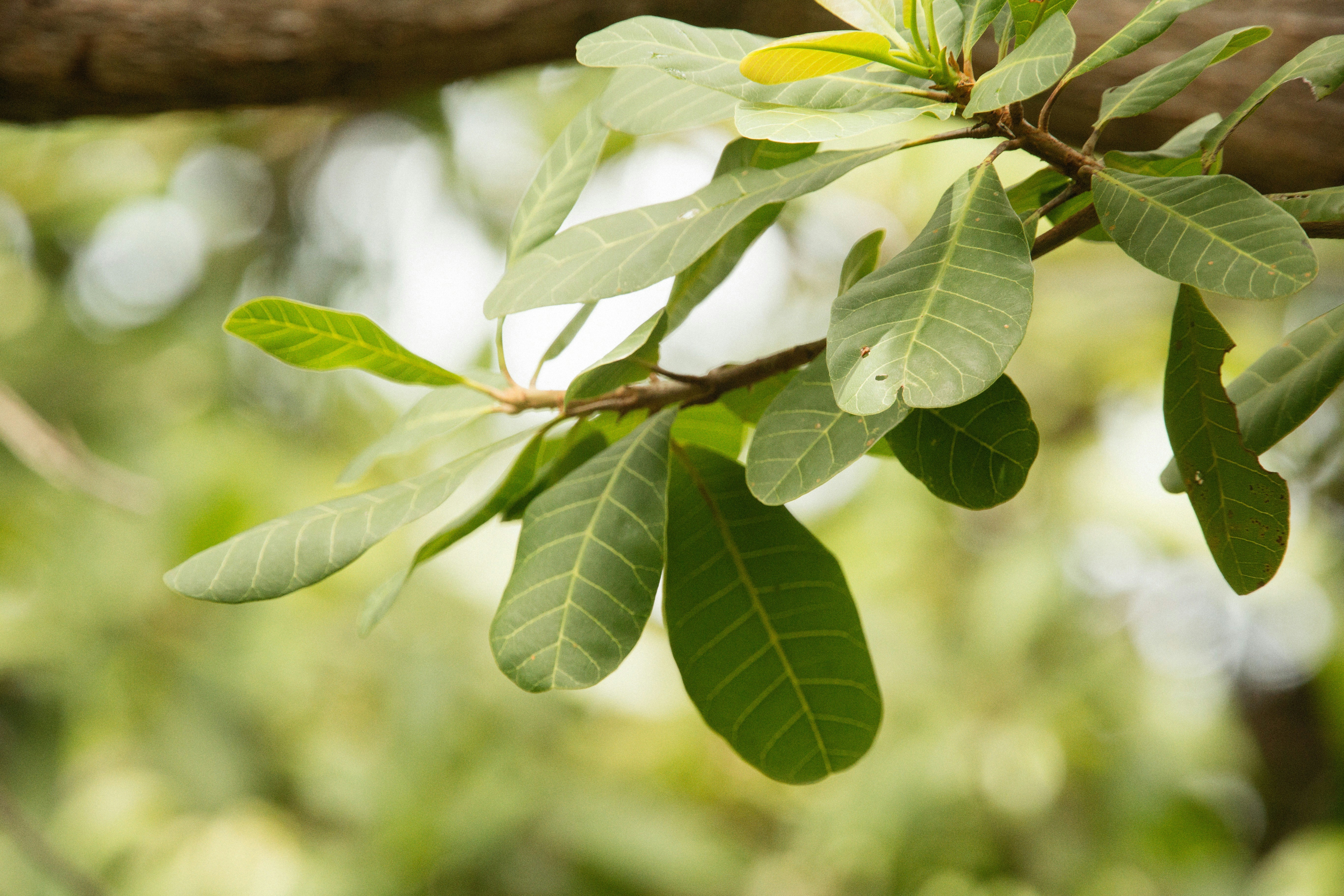 Photo by alexeydemidov