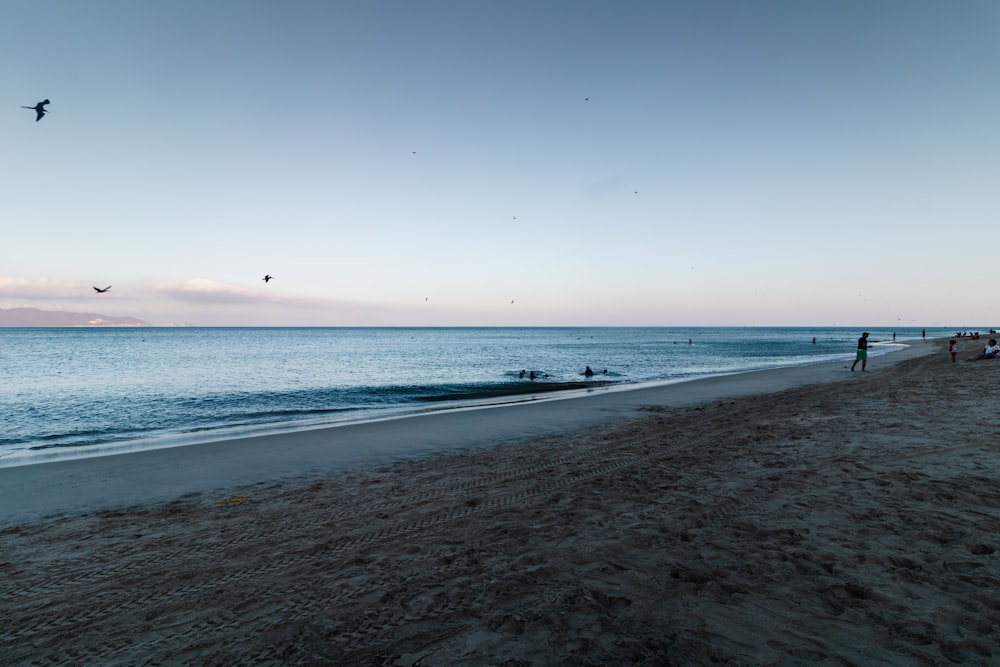 a group of people standing on top of a sandy beach