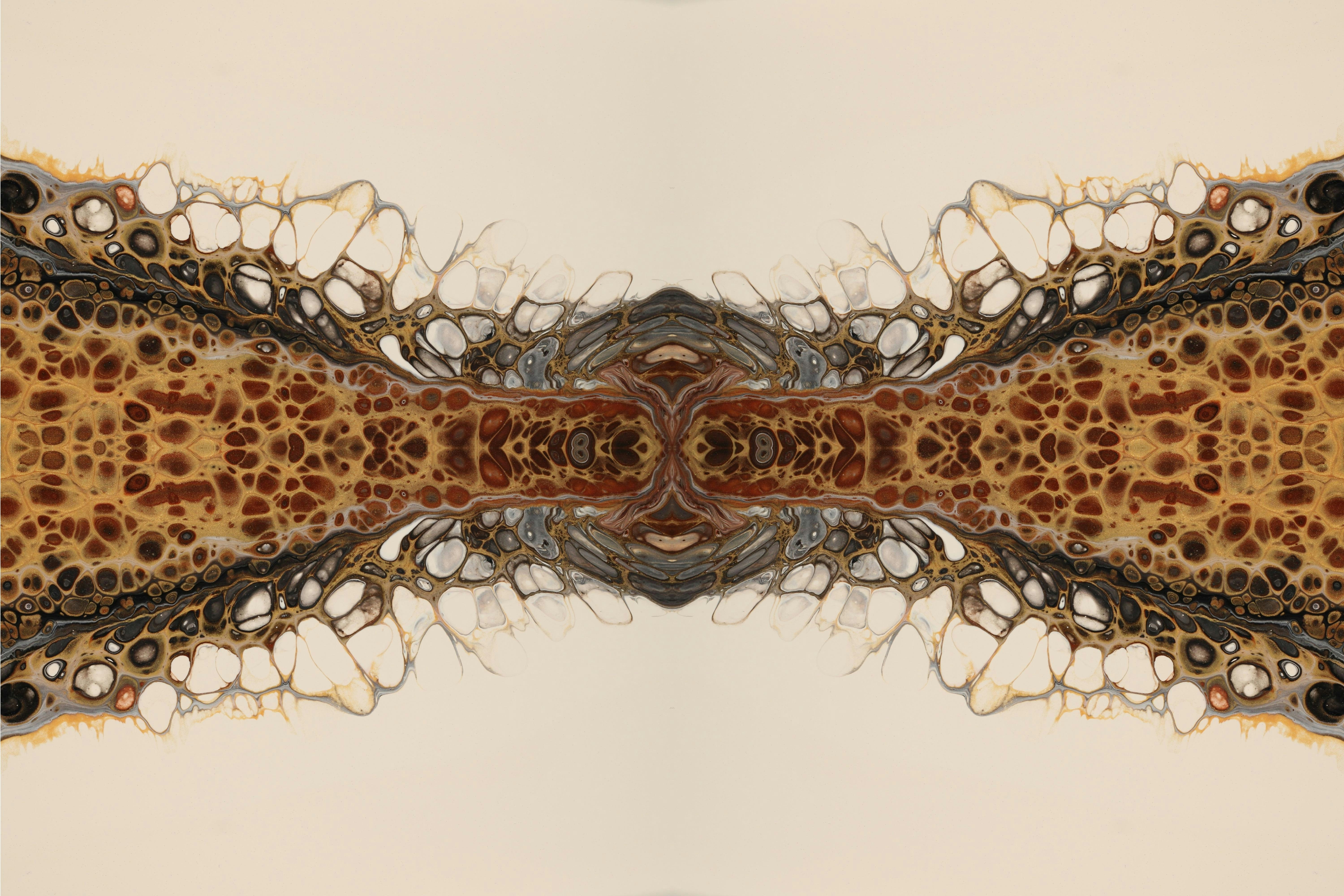 Photo by susan_wilkinson