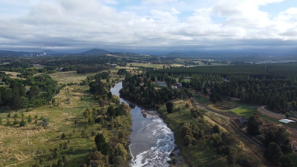 a river running through a lush green forest