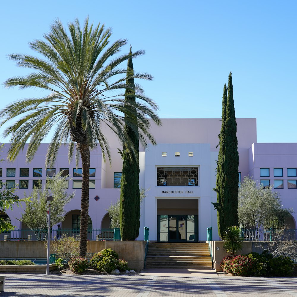 a building with a palm tree in front of it