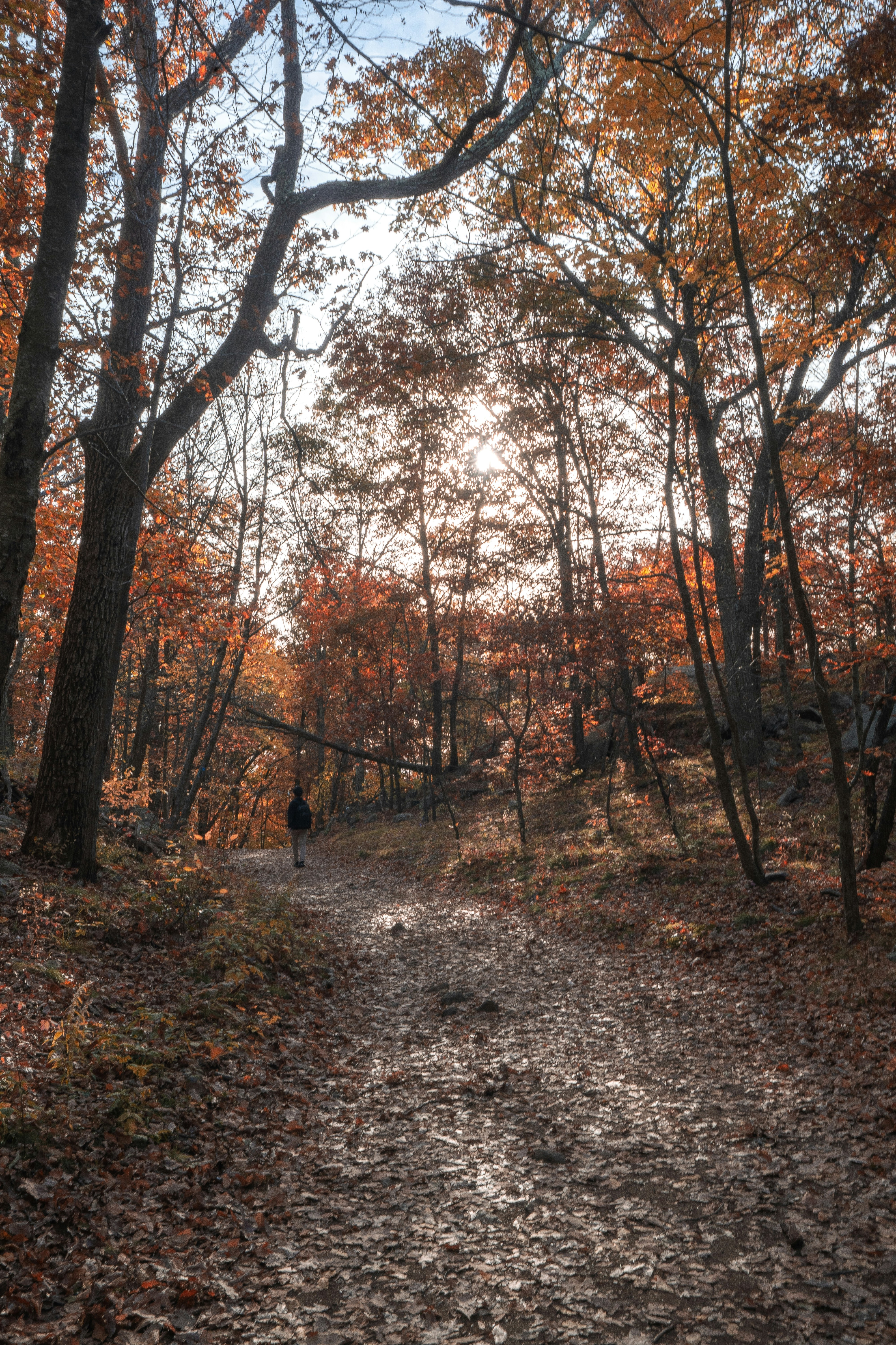 Photo by deannaawong