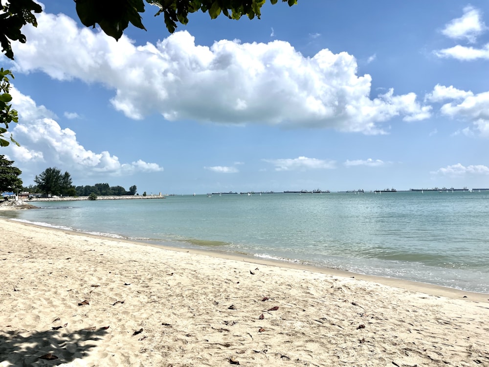 a sandy beach next to the ocean under a cloudy blue sky