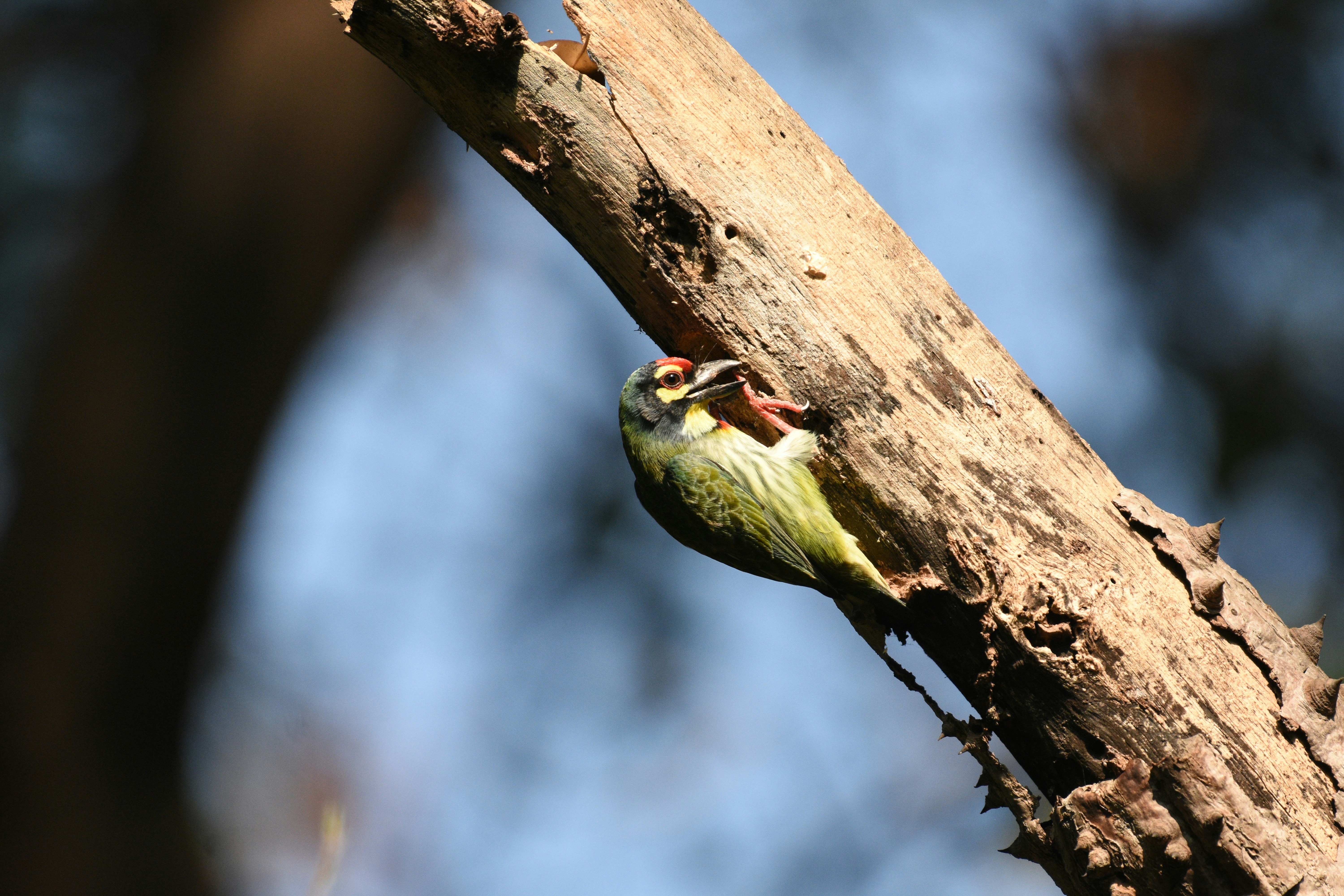 Photo by rahuldeshmukh18