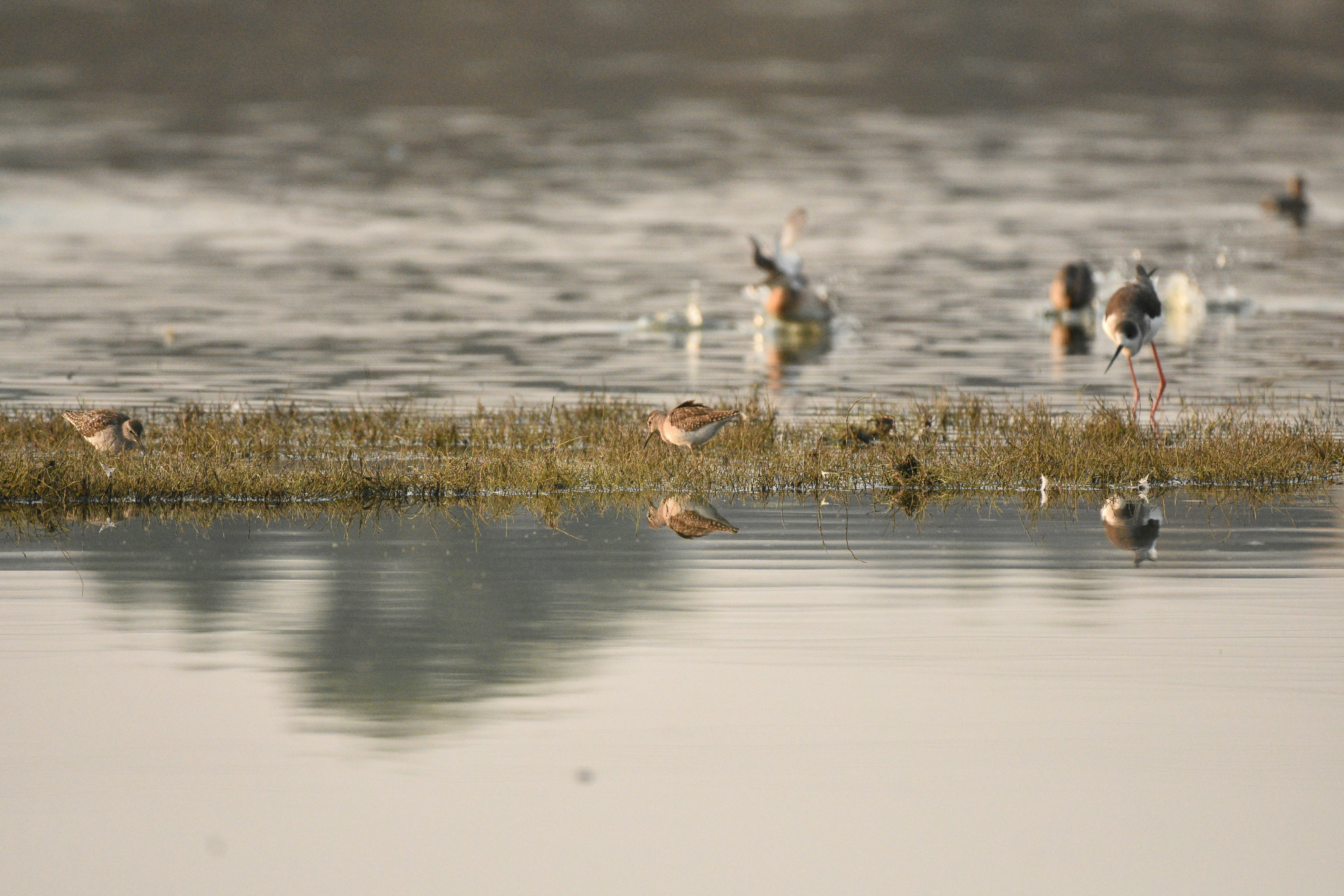Photo by rahuldeshmukh18
