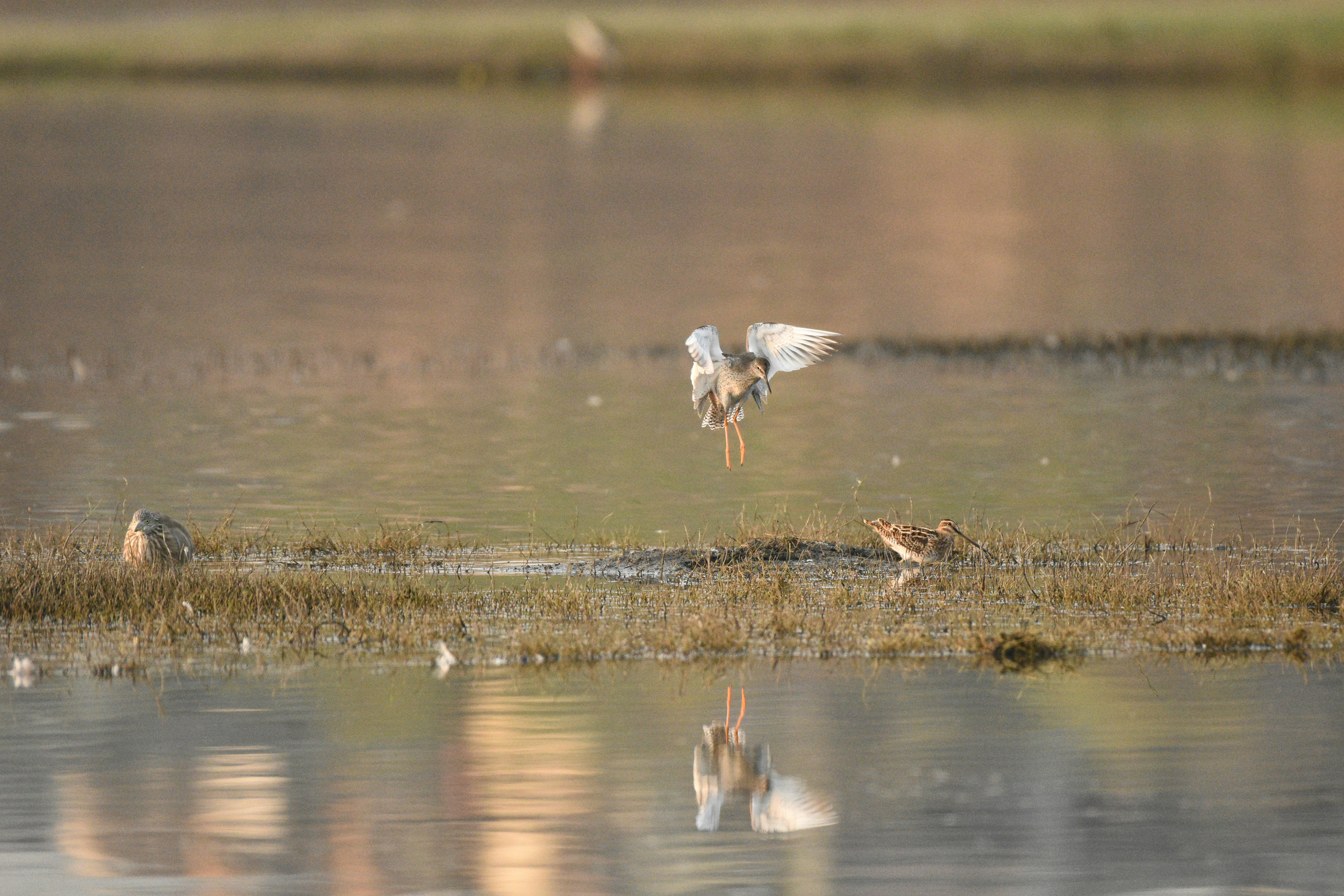Photo by rahuldeshmukh18