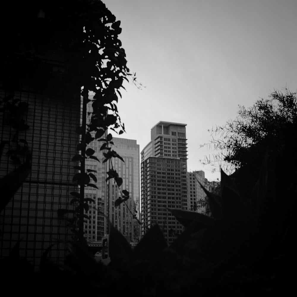 a black and white photo of tall buildings