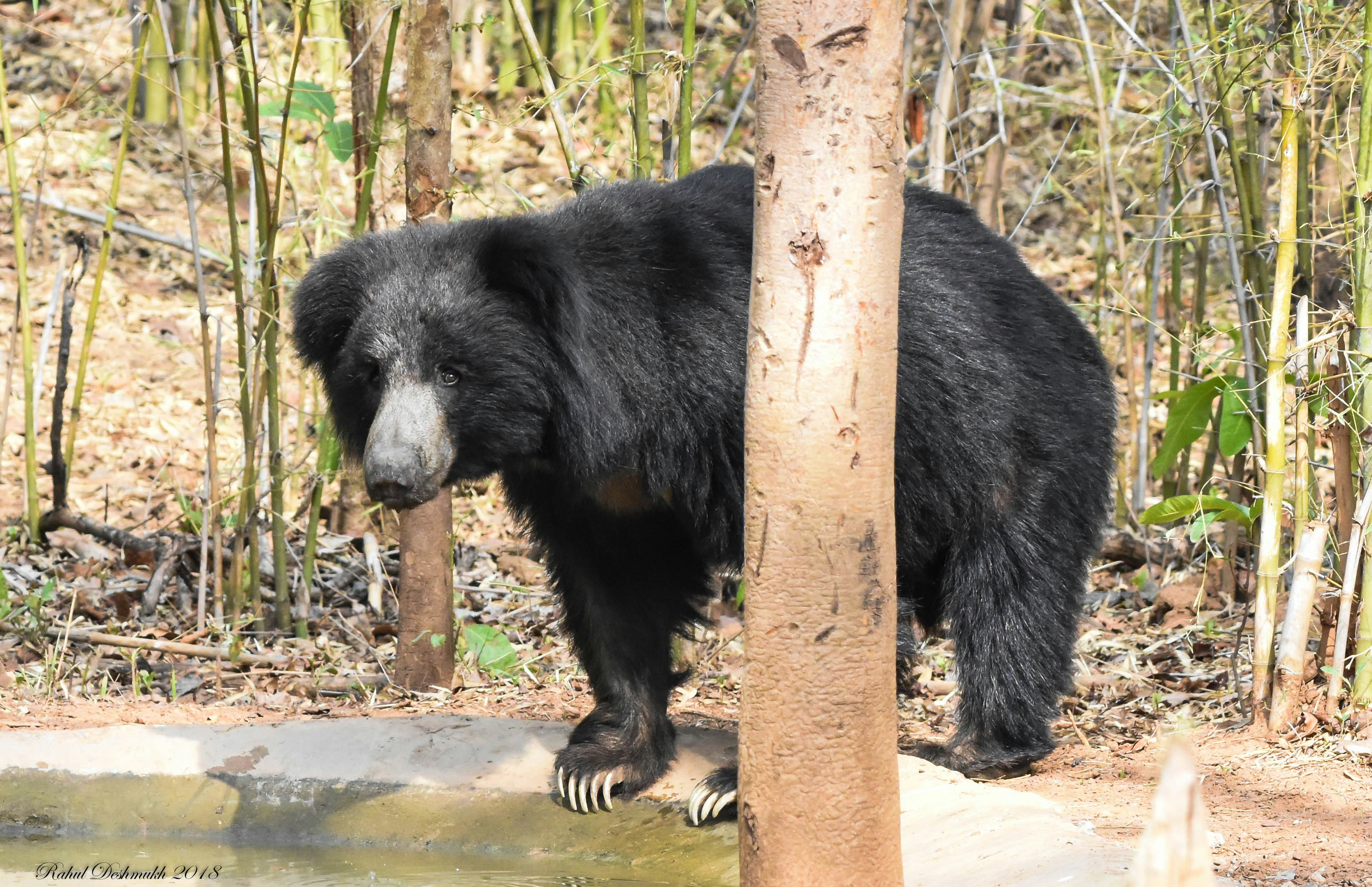 Photo by rahuldeshmukh18