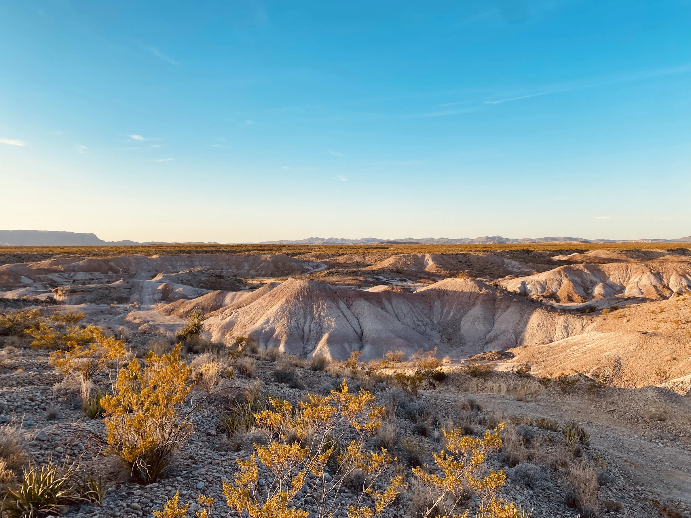 Chihuahuan Desert landscape near El Paso