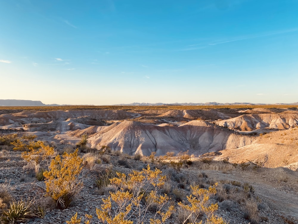 a view of a desert landscape from a distance