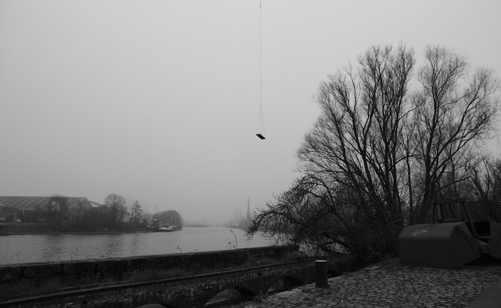 a black and white photo of a bird flying over a body of water