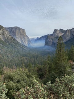 A scenic view of a lush green valley surrounded by towering granite cliffs and mountainous terrain, with a layer of mist settling in the distance. Tall pine trees populate the dense forest, and the sky is overcast with light cloud cover.