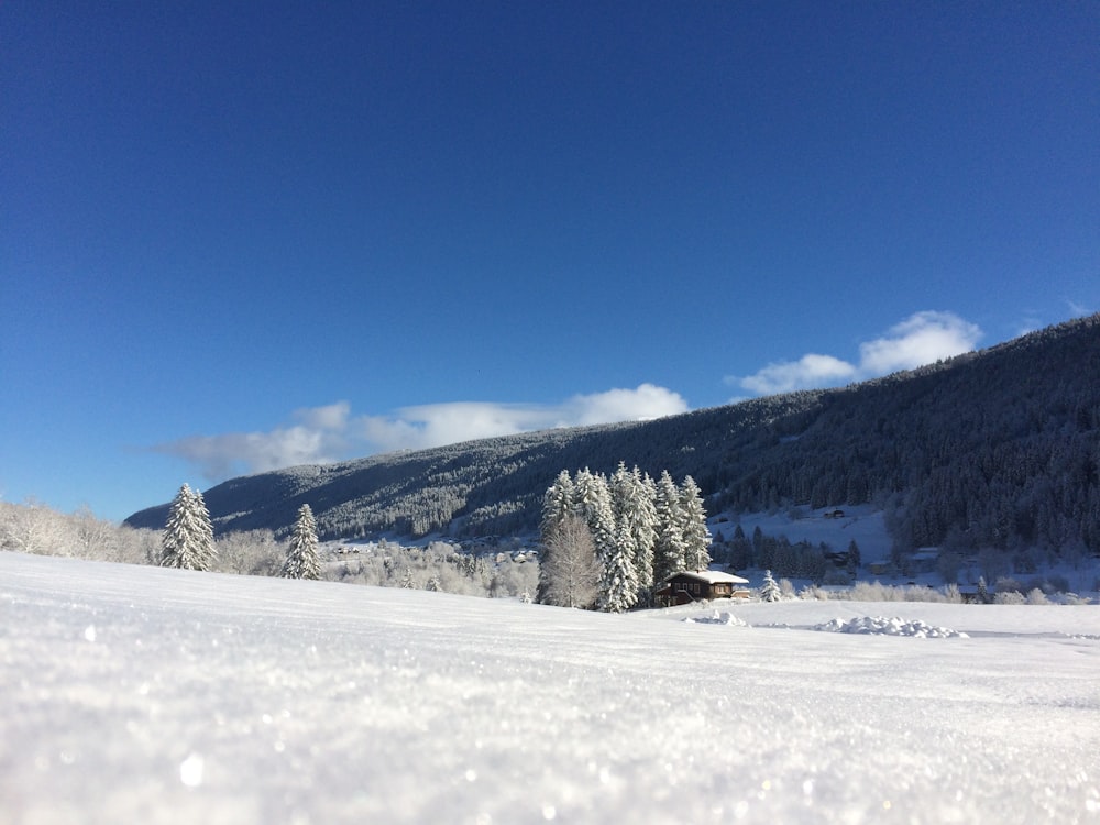 a person riding skis on a snowy surface