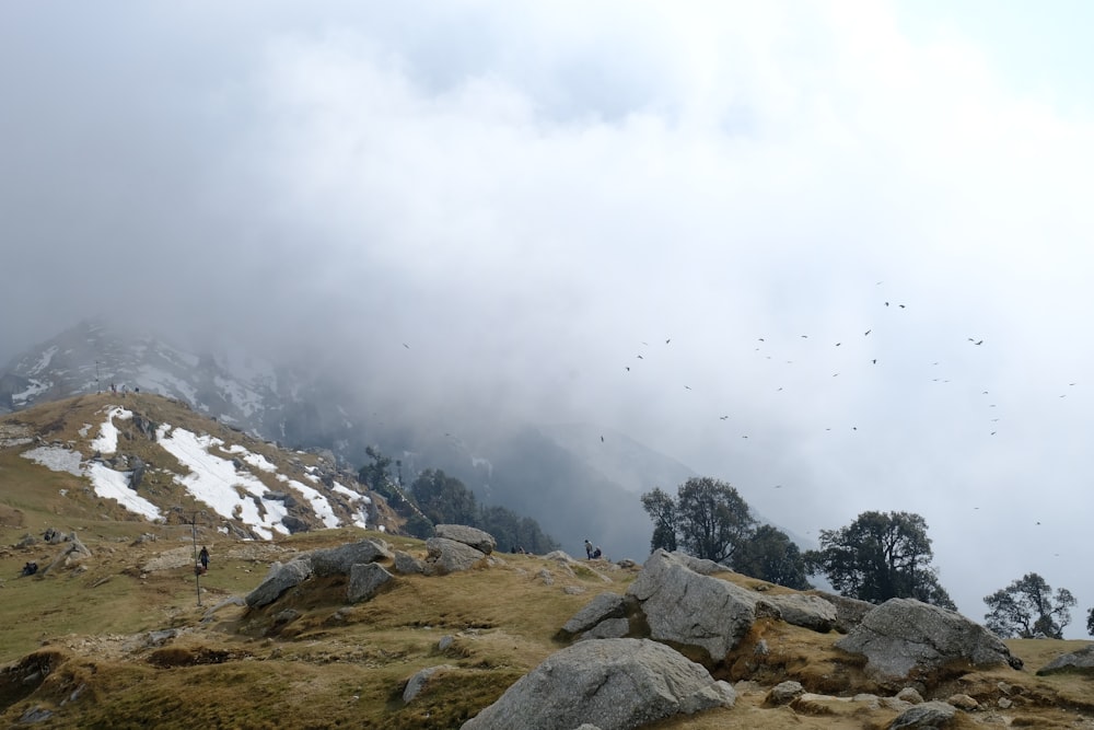 a group of birds flying over the top of a mountain