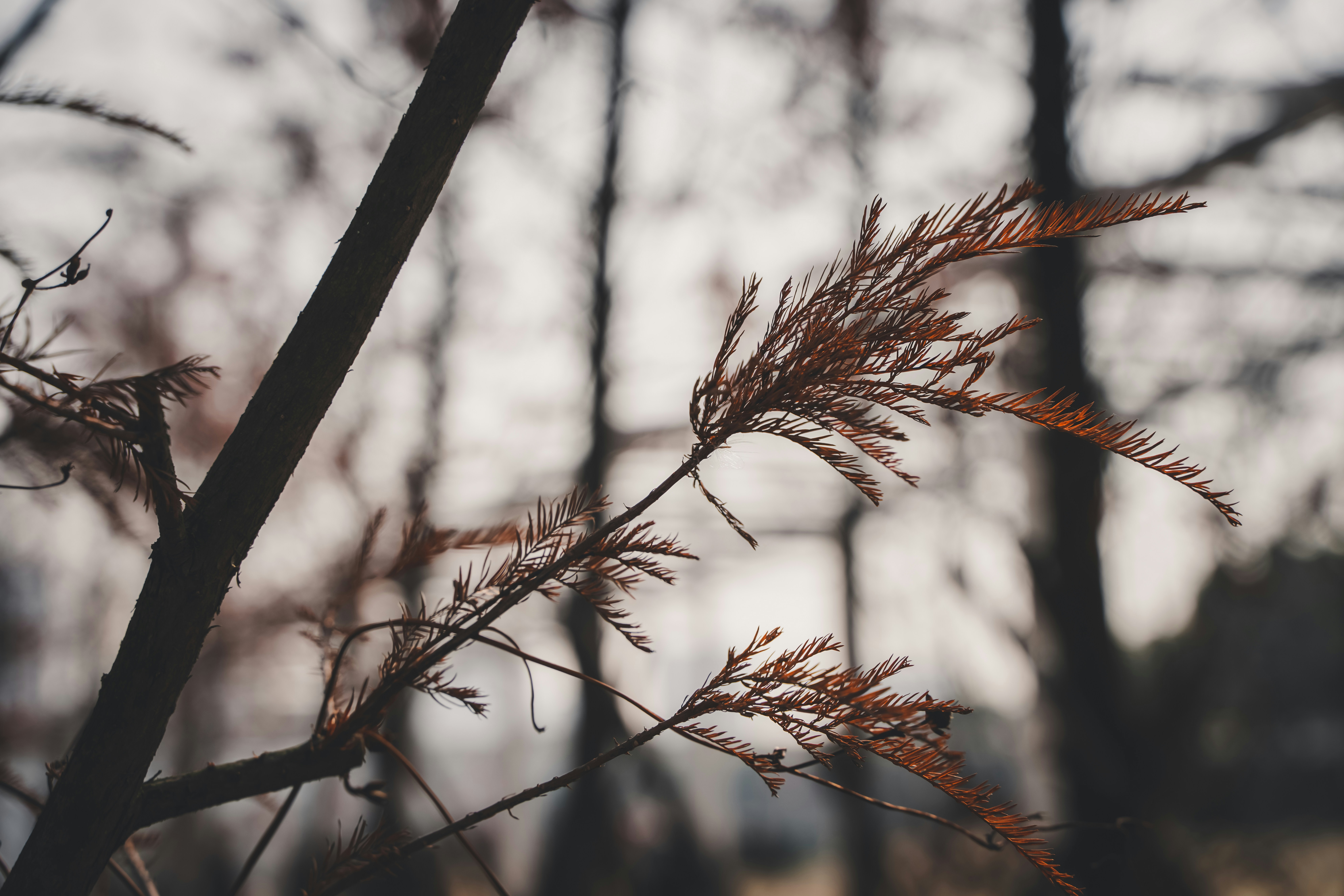 Photo by superxcalvin