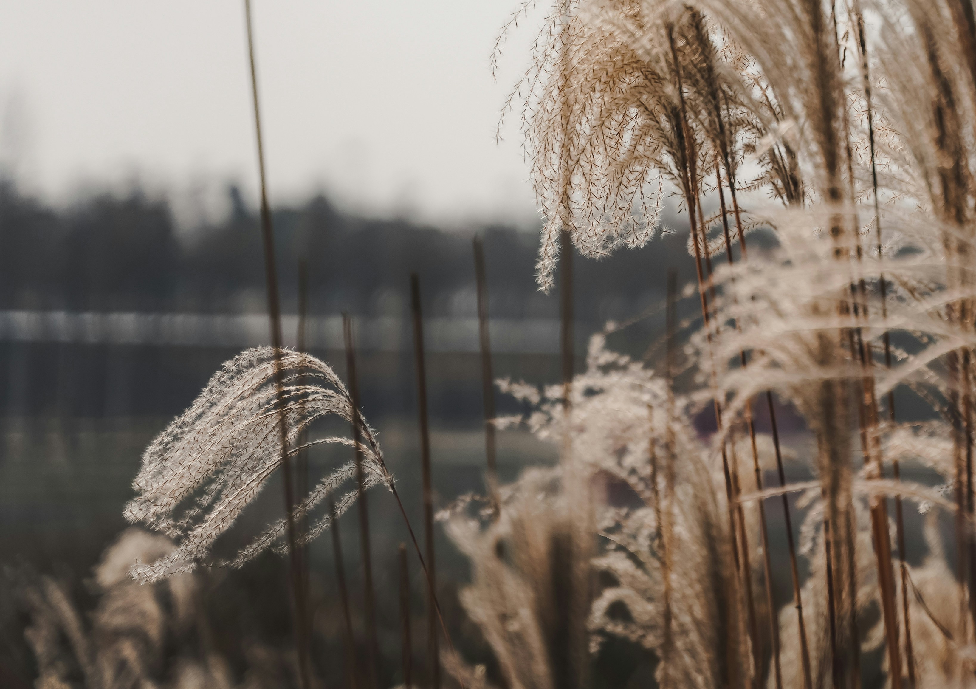 Photo by superxcalvin