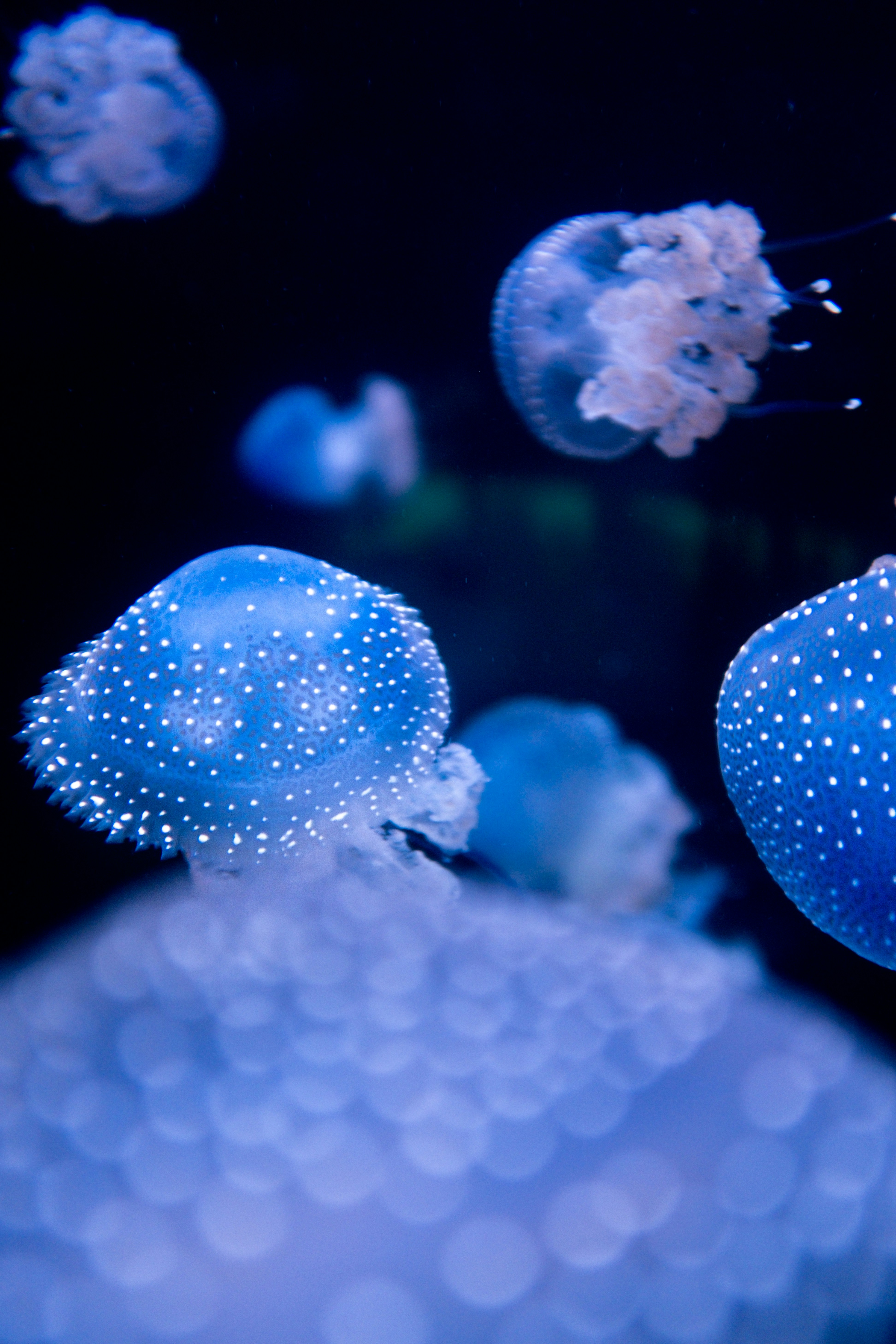 Photo by filipp_roman_photography