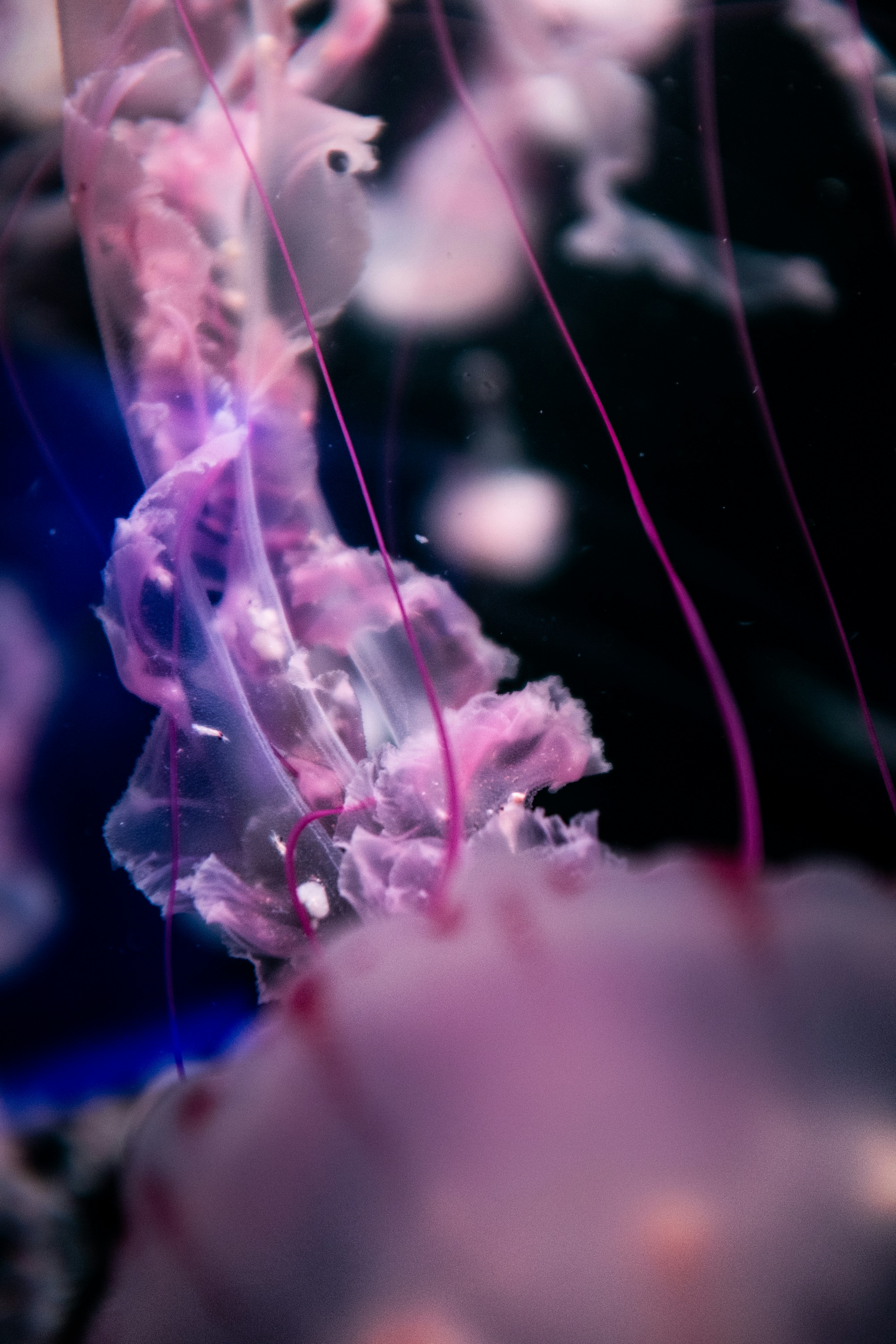 Photo by filipp_roman_photography