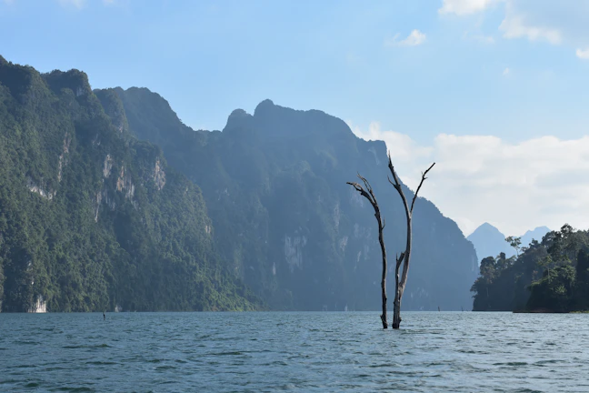 4-Day Luxury Surat Thani Itinerary | Premium Travel Guide
