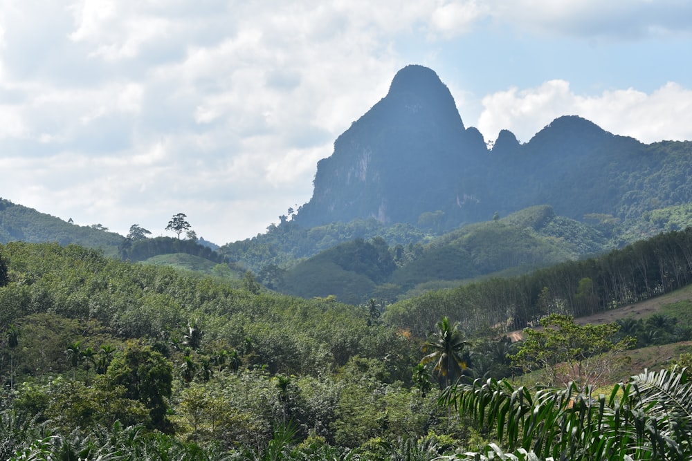 a view of a mountain range with trees in the foreground