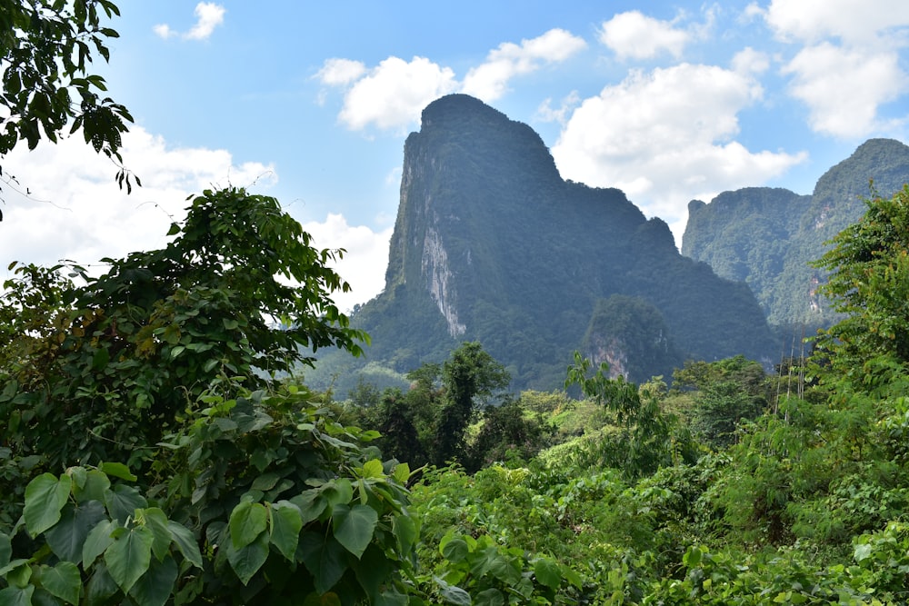 a view of a mountain range with trees and bushes