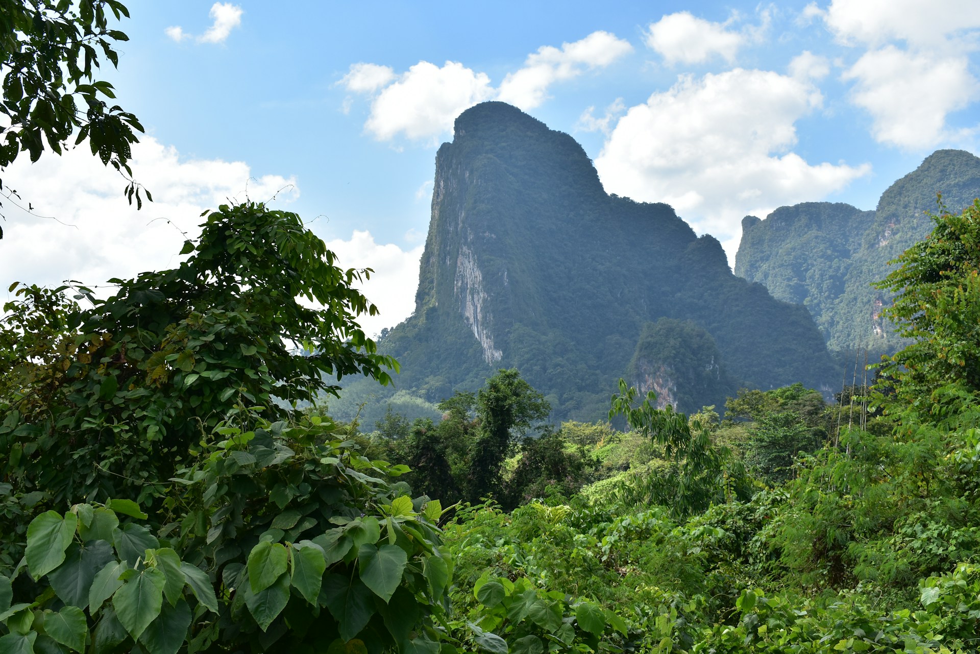 a view of a mountain range with trees and bushes