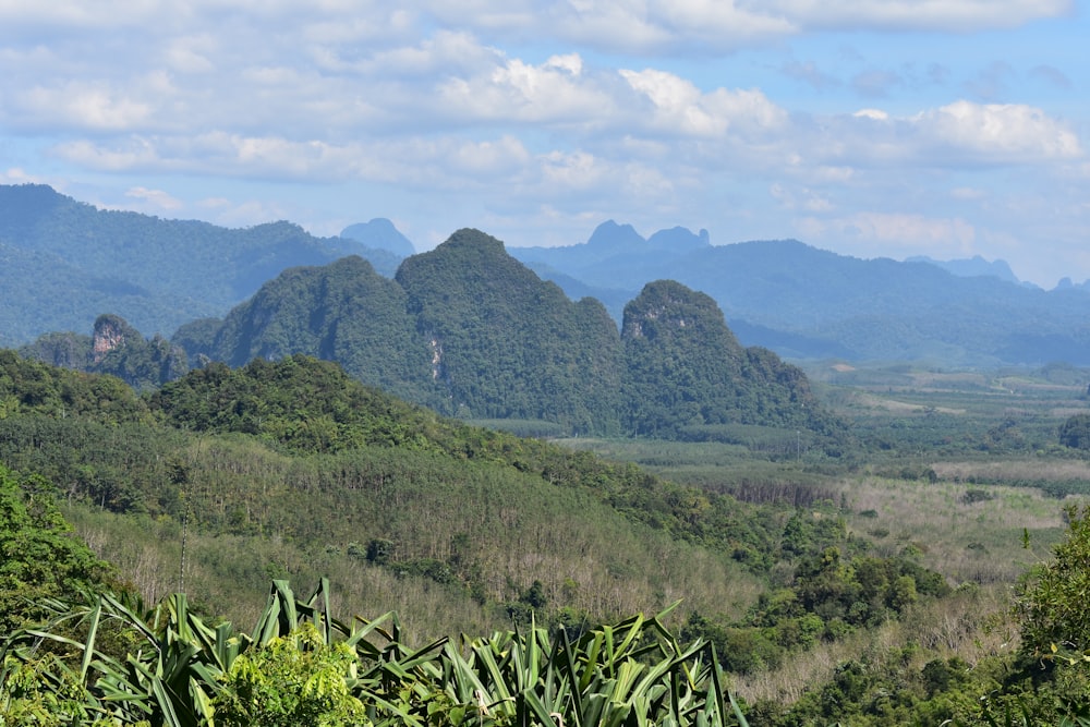 a lush green valley surrounded by mountains under a cloudy blue sky