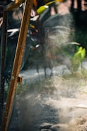 A mesh screen door is partially open, capturing dust particles in the air as sunlight filters through. The blurred background includes green and reddish foliage, indicating an outdoor setting.
